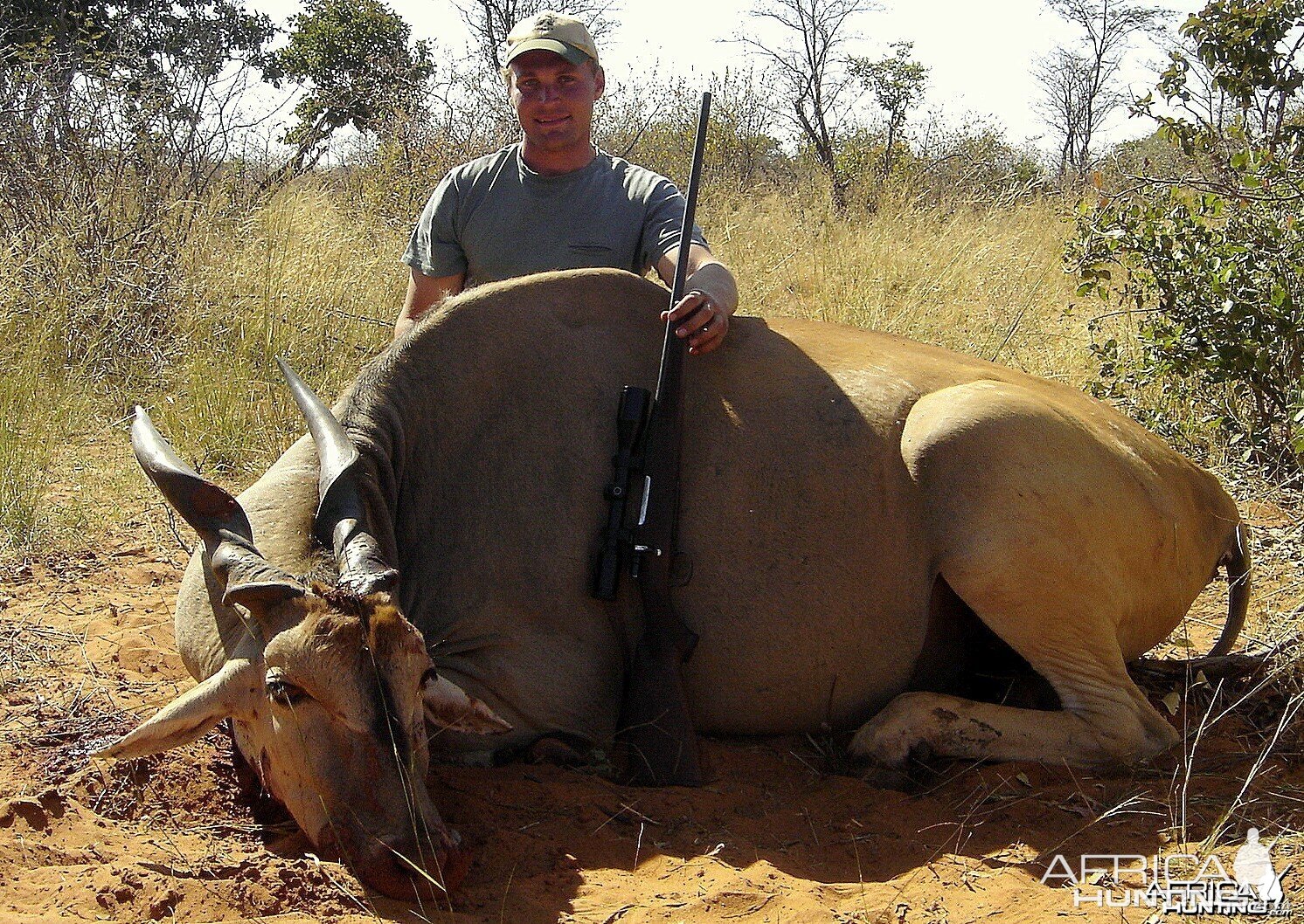 35" Cape Eland taken near Grootfontein ,Namibia