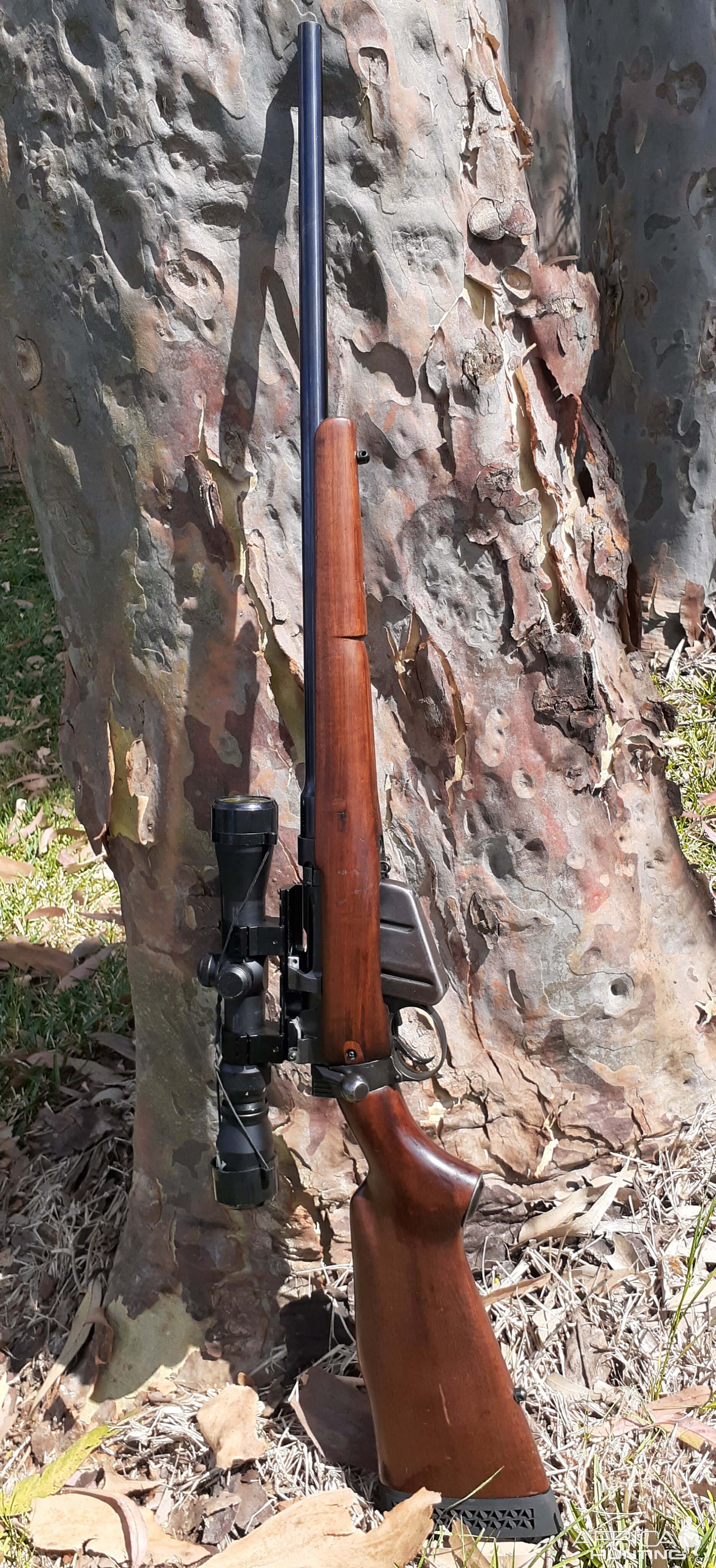 35 Whelan Rifle