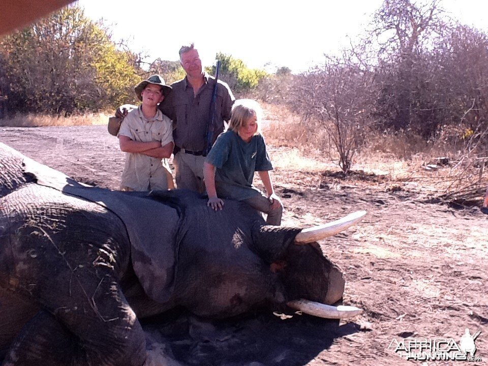 37 lbs Elephant hunted in Zimbabwe