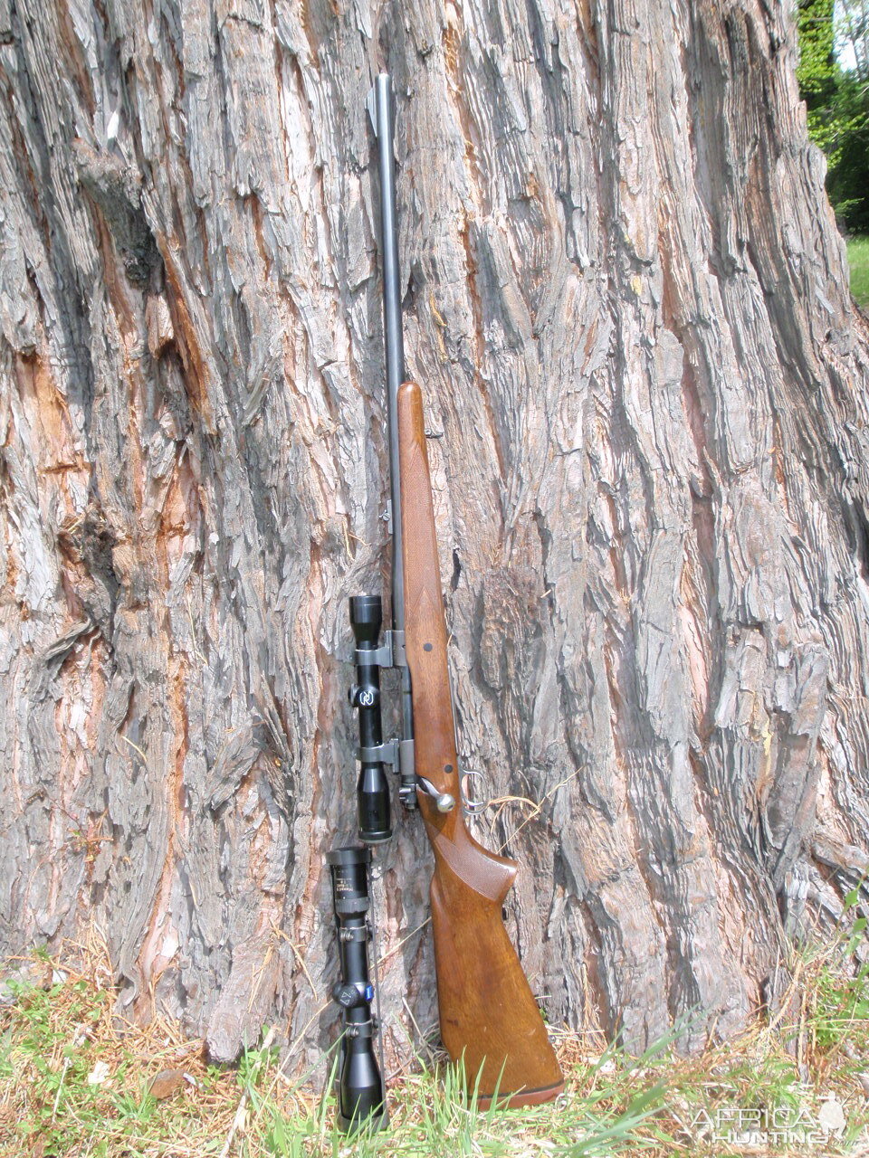 .375 H&H Rifle