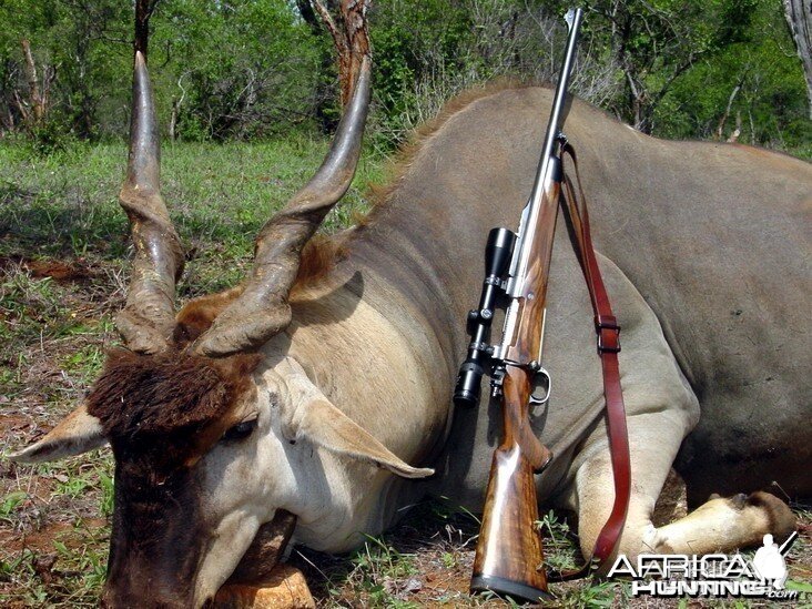.375 Holland & Holland | AfricaHunting.com
