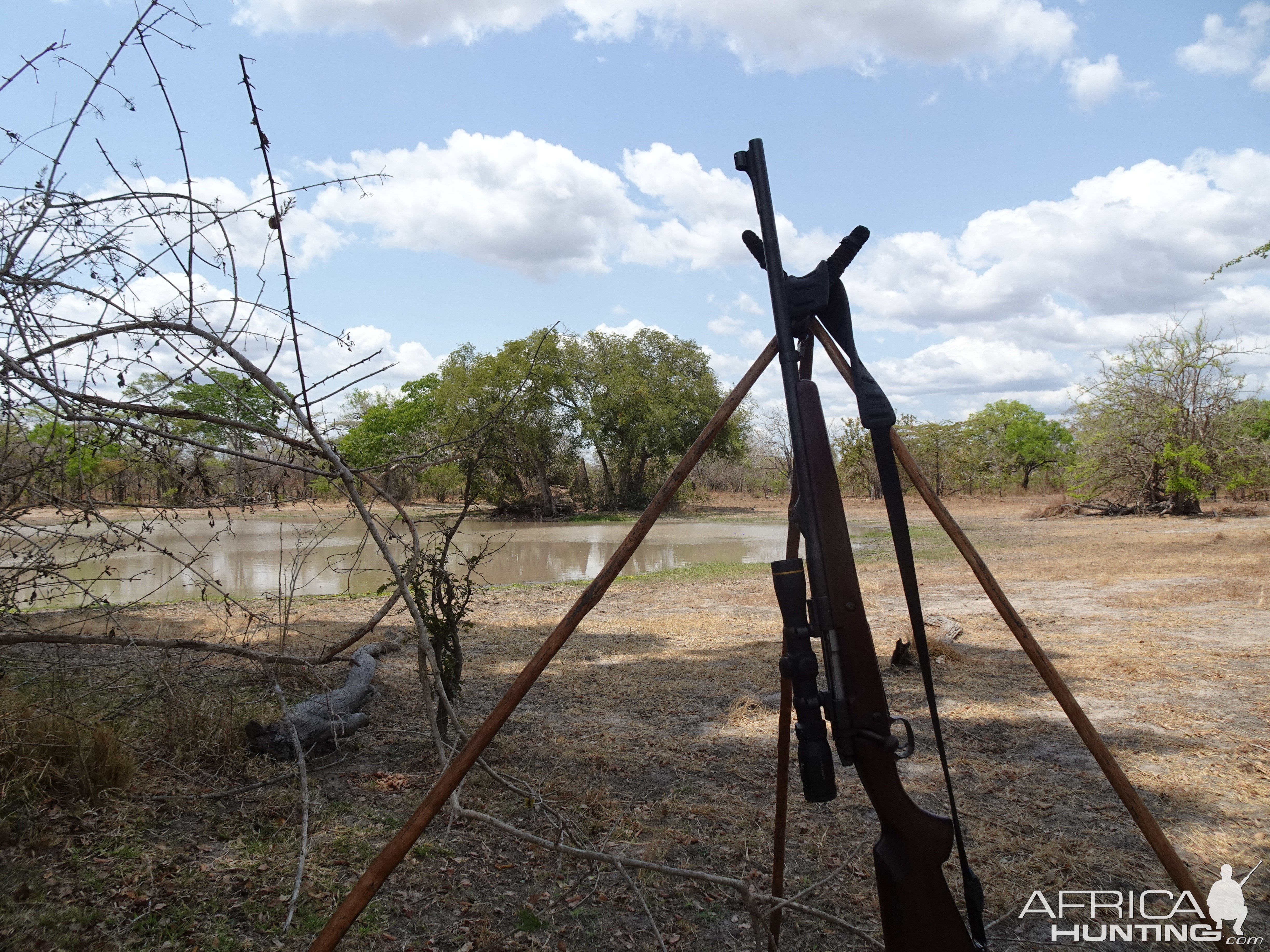 .375 Hunting Rifle & Shooting Sticks