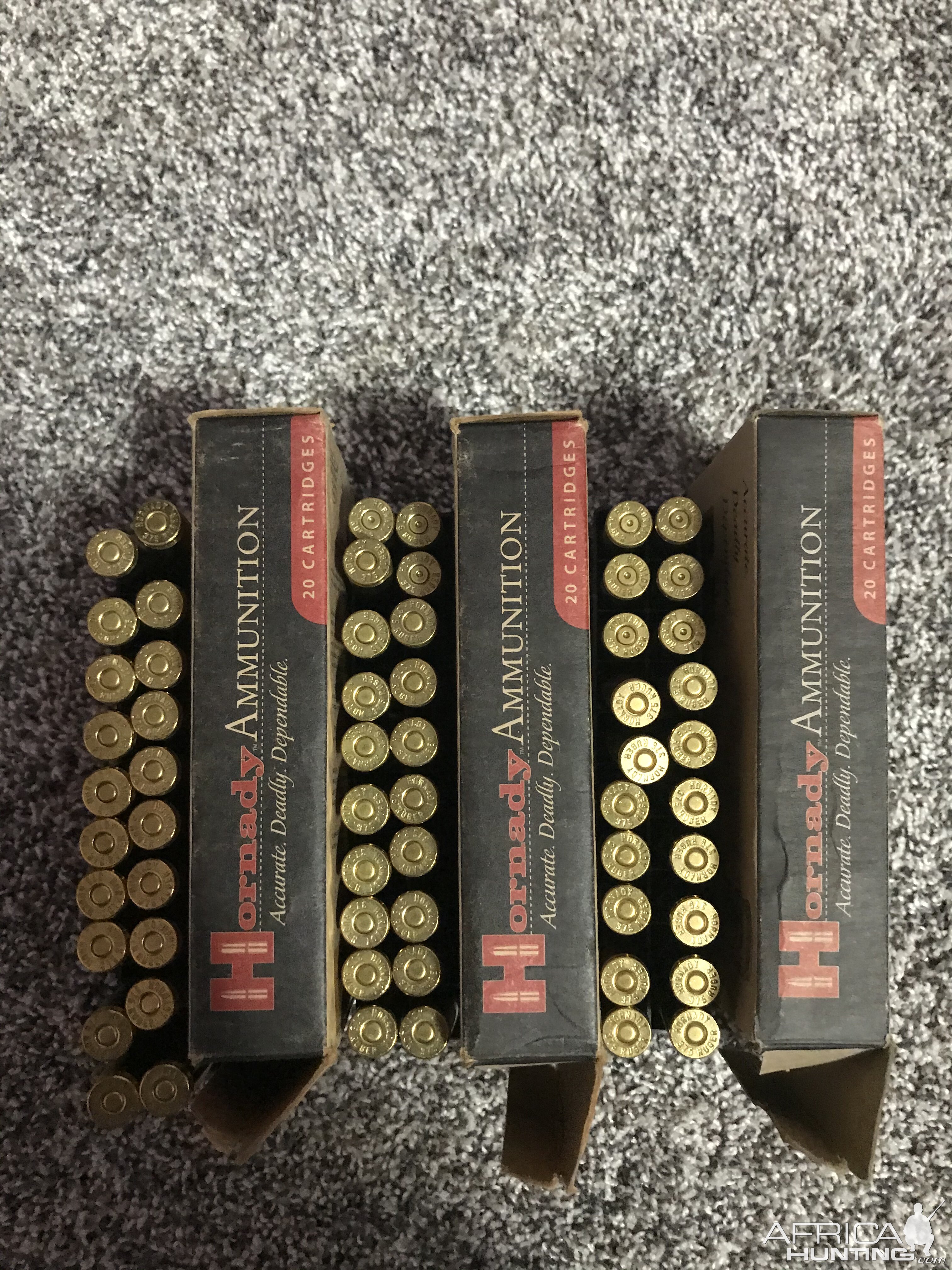 375 Ruger Hornady Ammunition