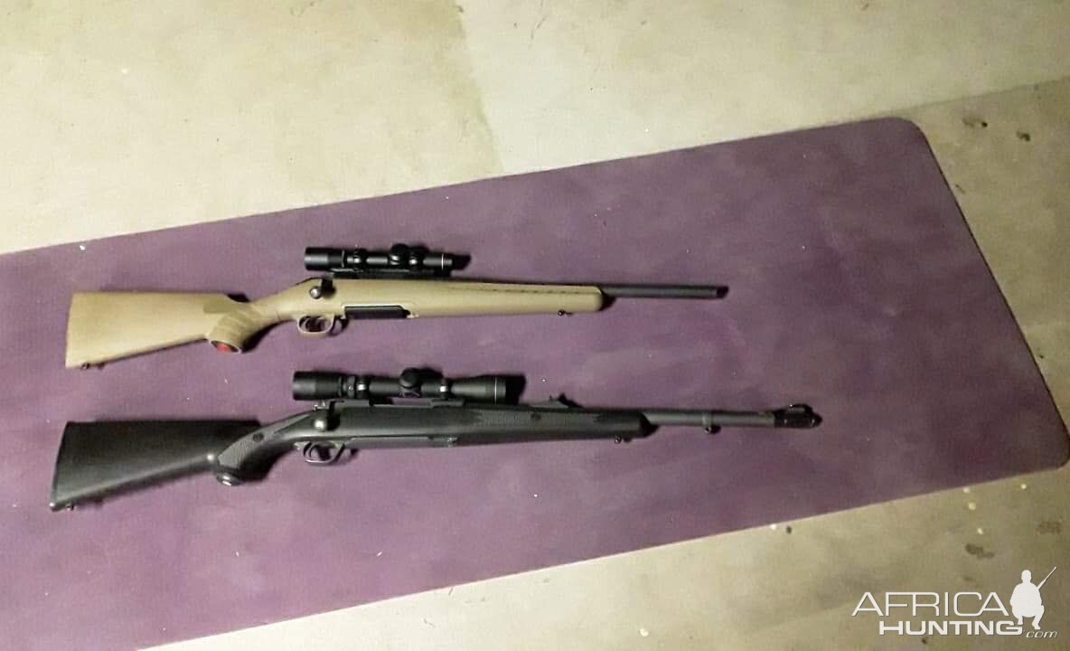 375 Ruger Rifle & 358 Winchester Rifle