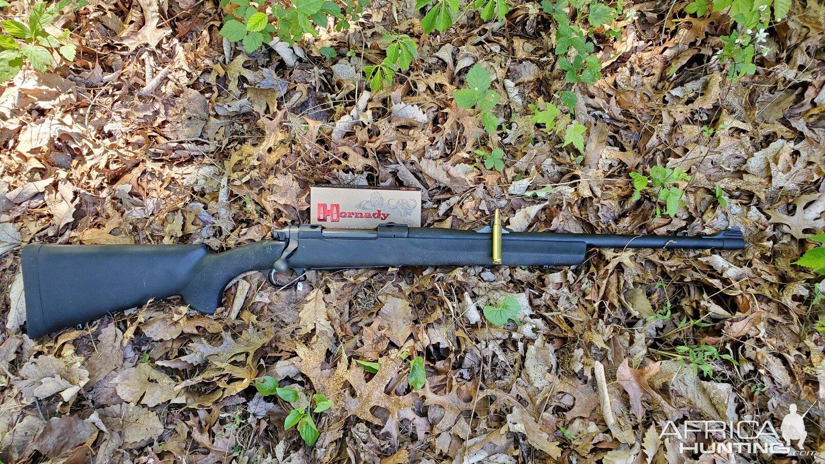 .375 Ruger Rifle