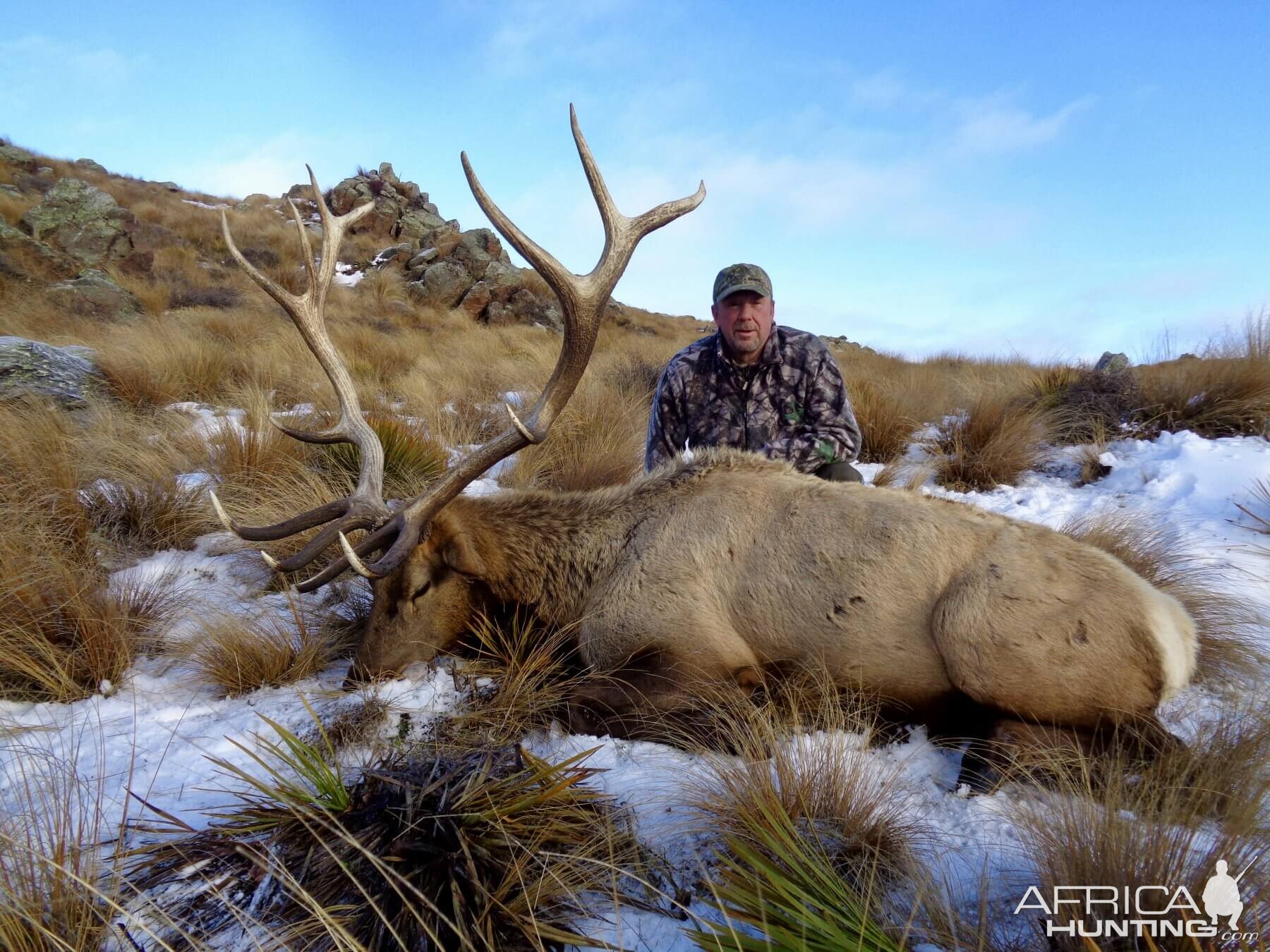 378" Inch Elk Hunting New Zealand