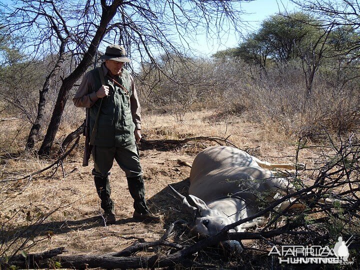 38" Eland - Eden Namibia