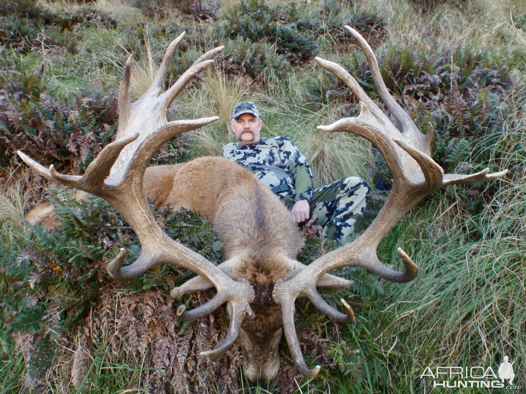 399" Inch Red Stag Hunt New Zealand
