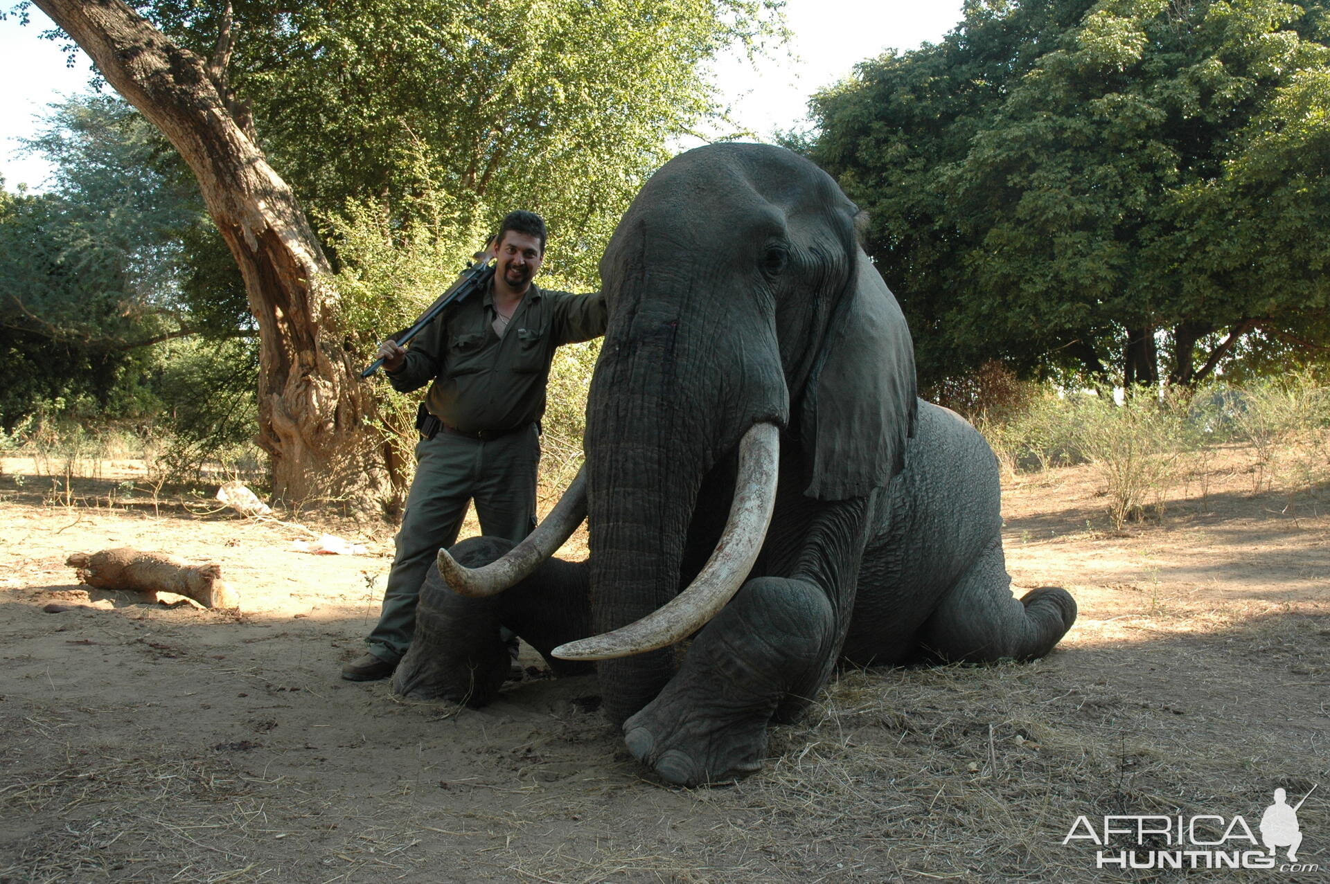 40/41 pounds Elephant hunted in Zimbabwe