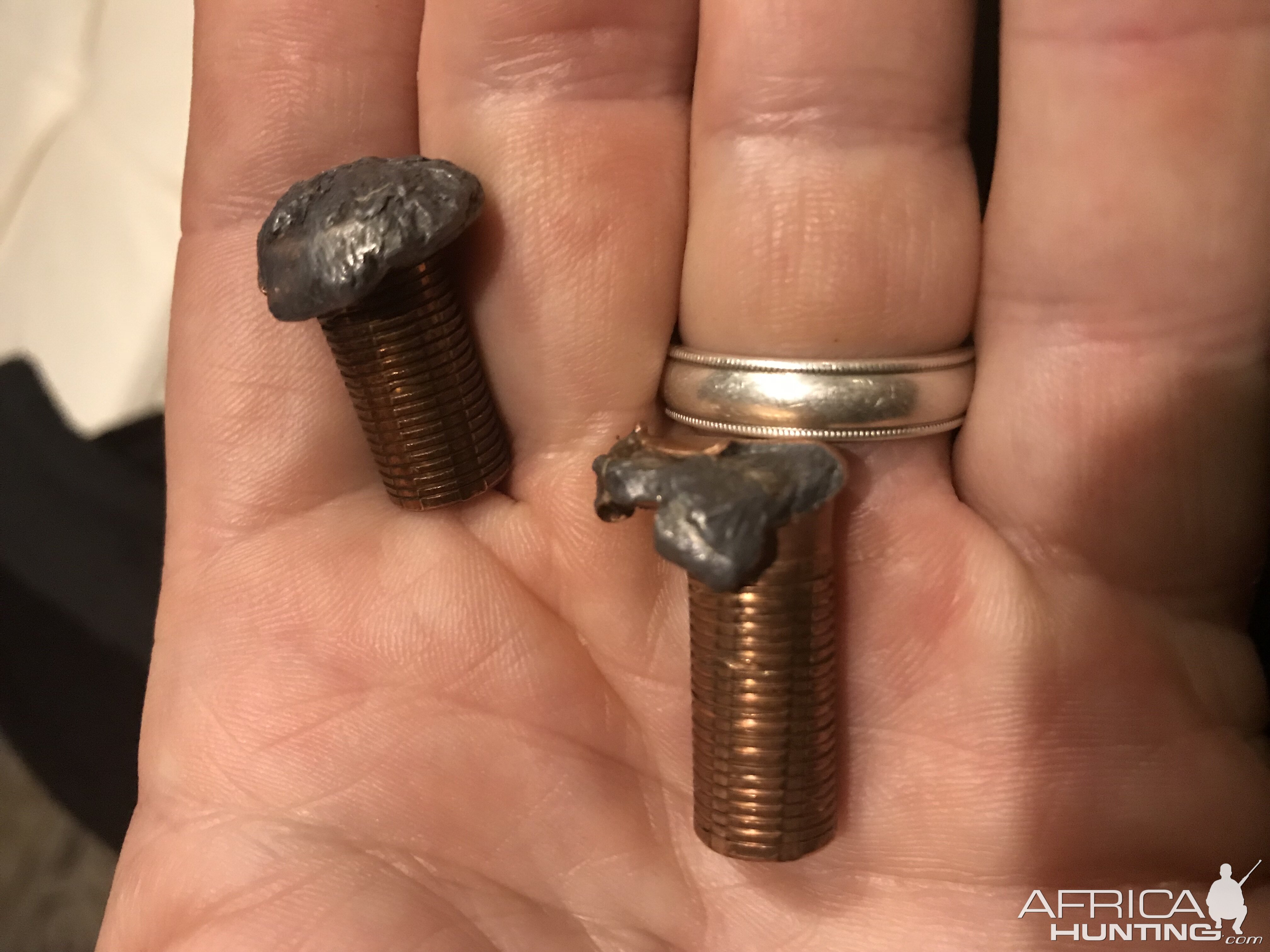 400 gr North Fork Solid Performance