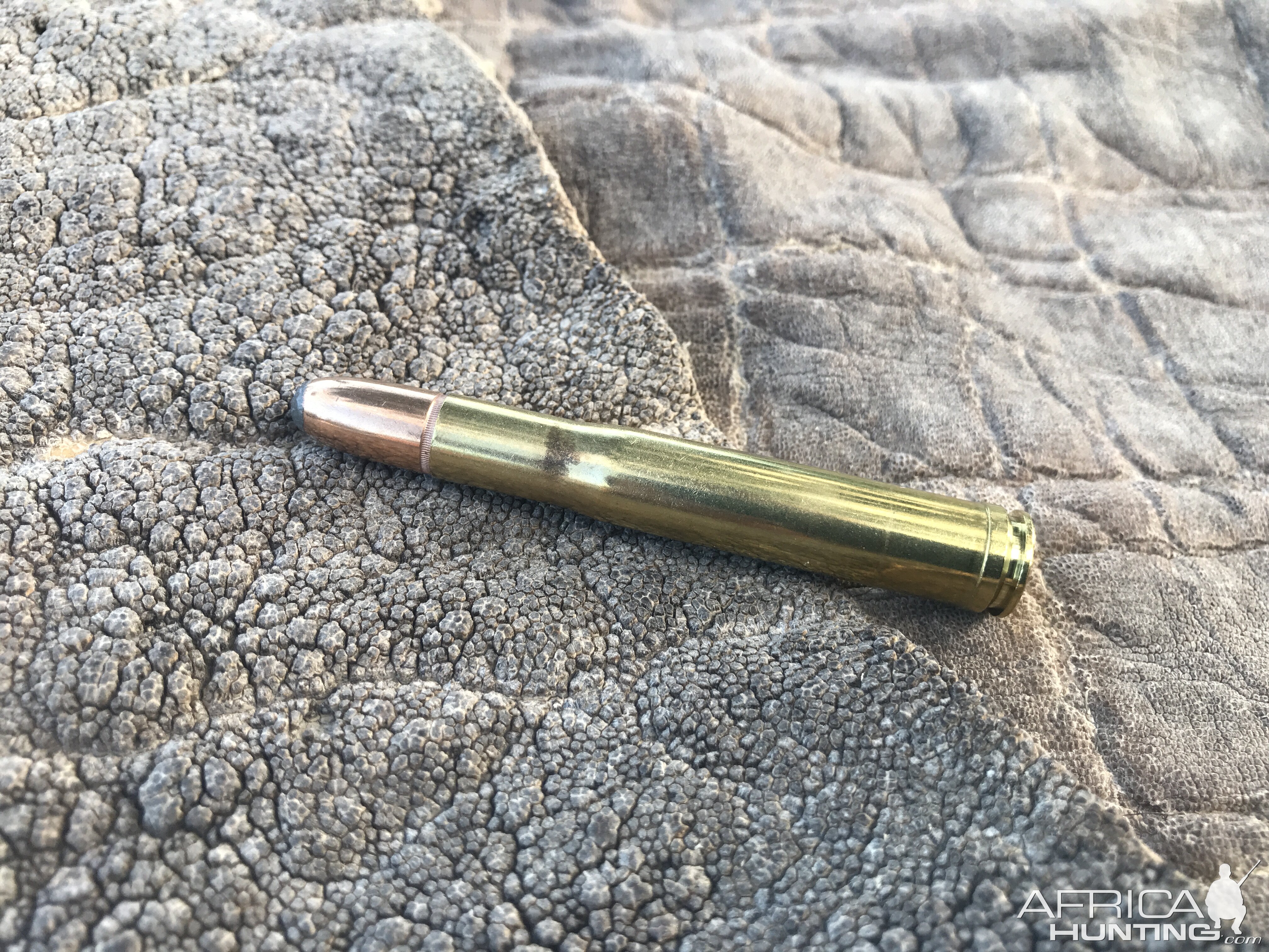 .400 H&H Bullet on Elephant Skin