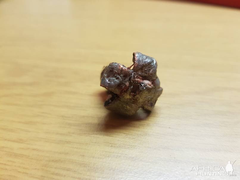 400gr Rhino Solid Shank Bullet Performance