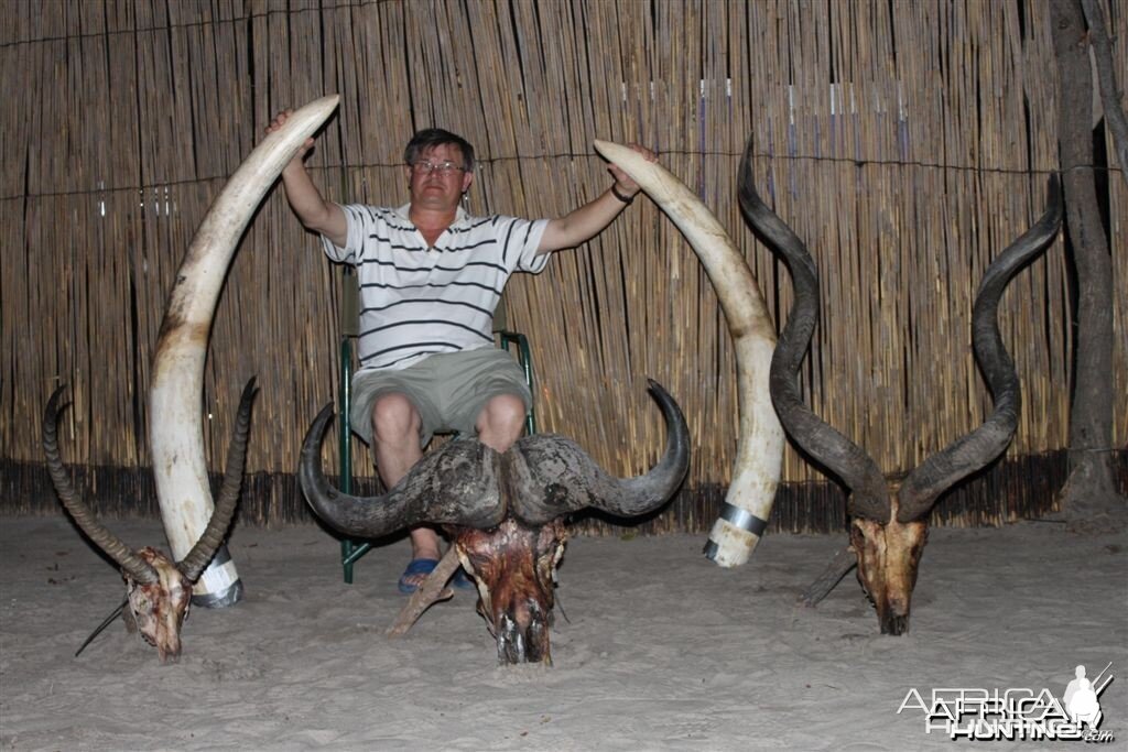 41 lbs Elephant hunted in the Caprivi Namibia
