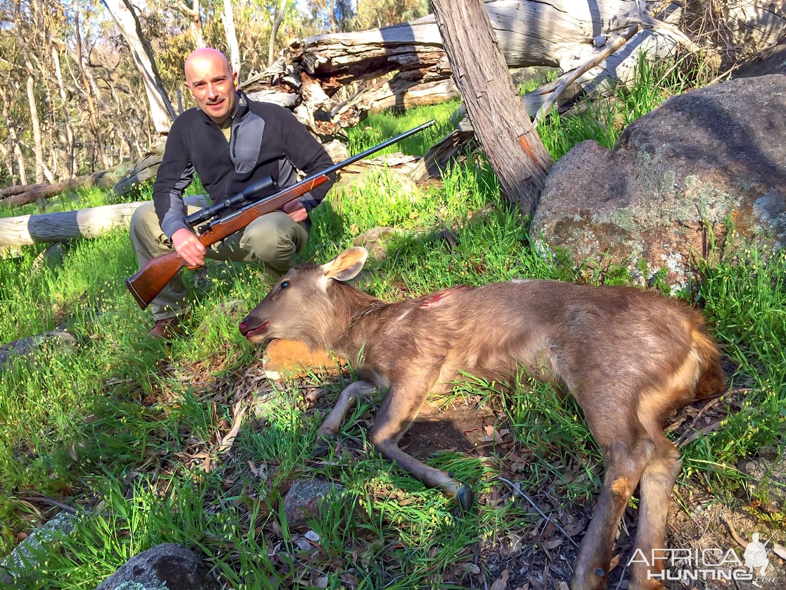 416 Weatherby magnum load testing