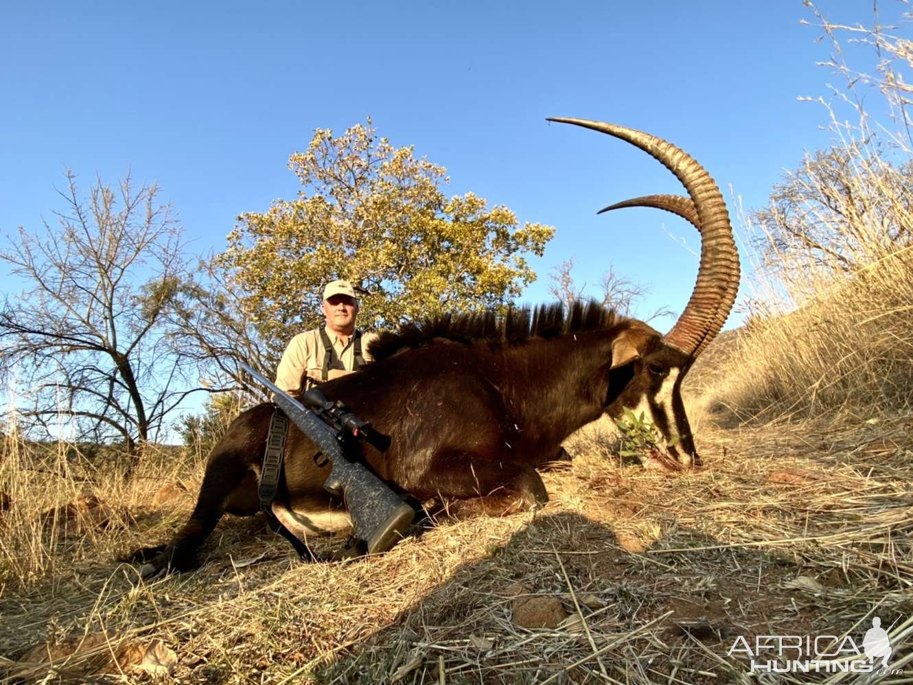 42.6 Inch Sable Hunt South Africa
