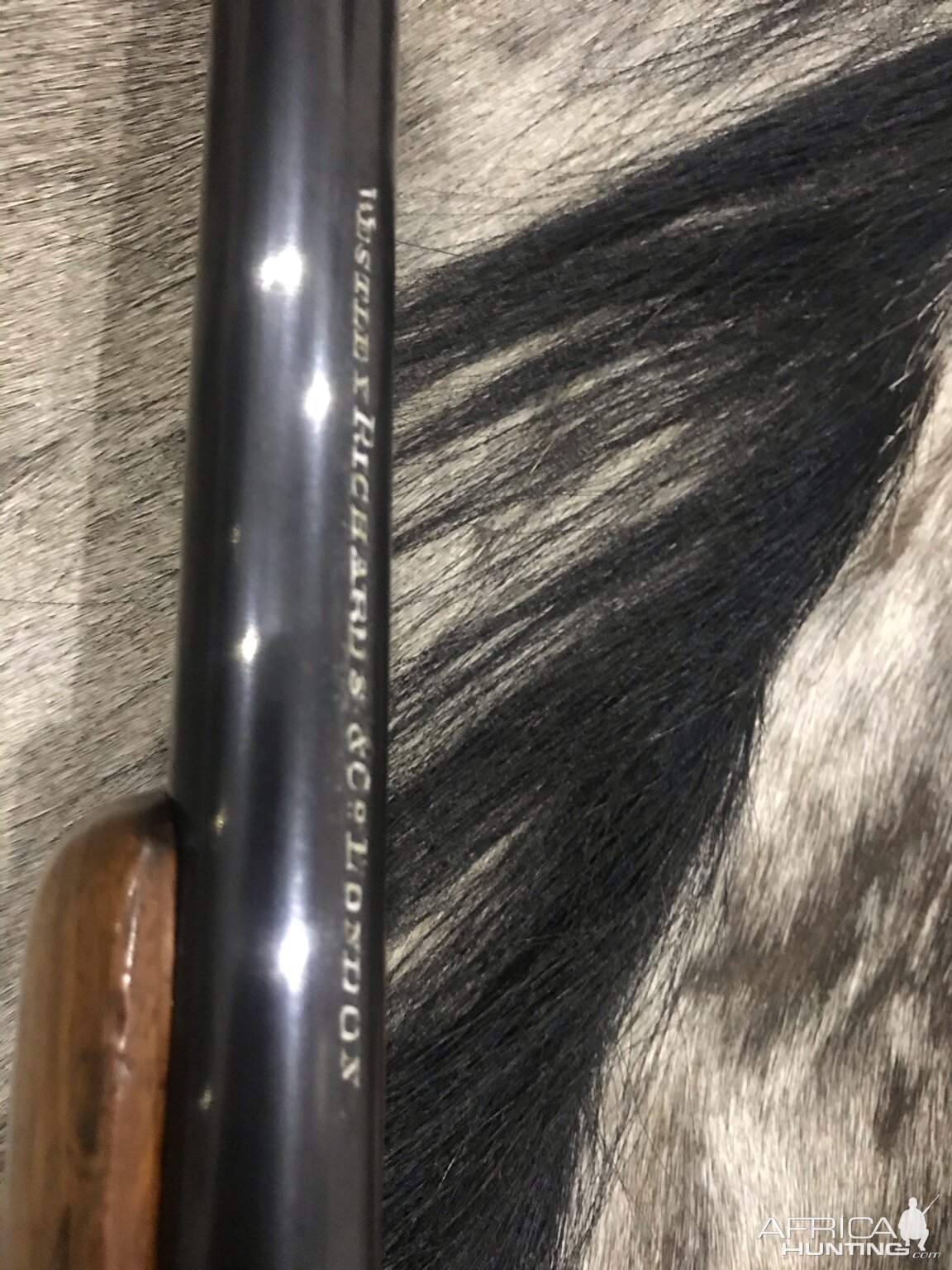 425 Westley Richards Rifle