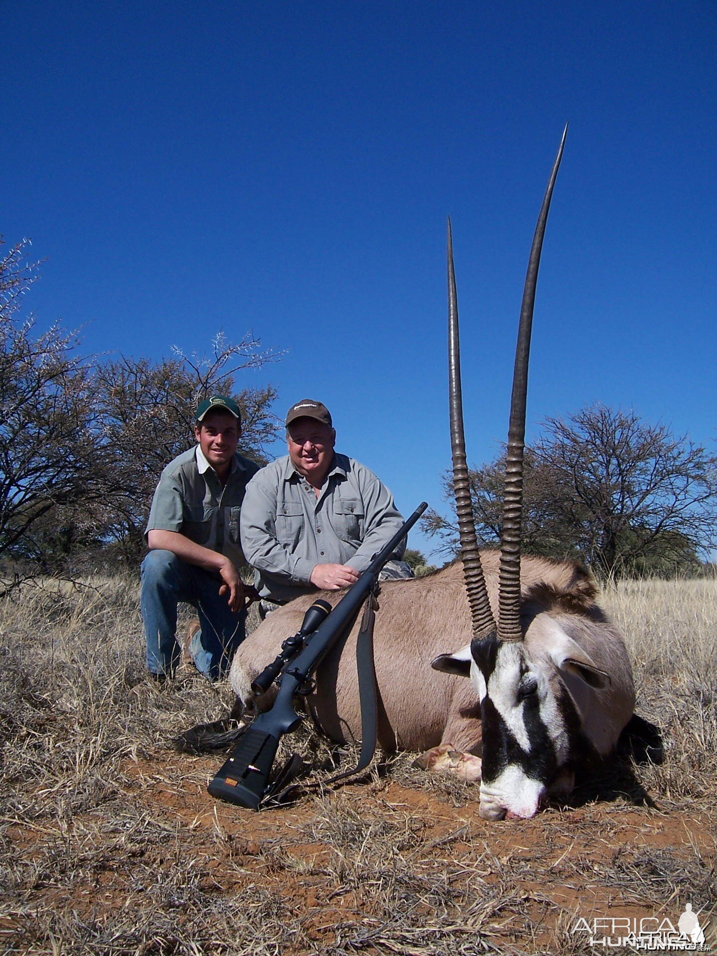 44 inch Gemsbok cow