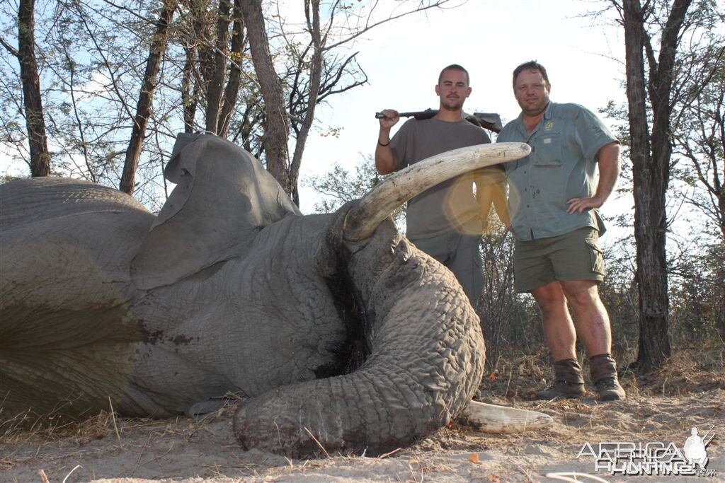 44 lbs Elephant hunted in the Caprivi Namibia