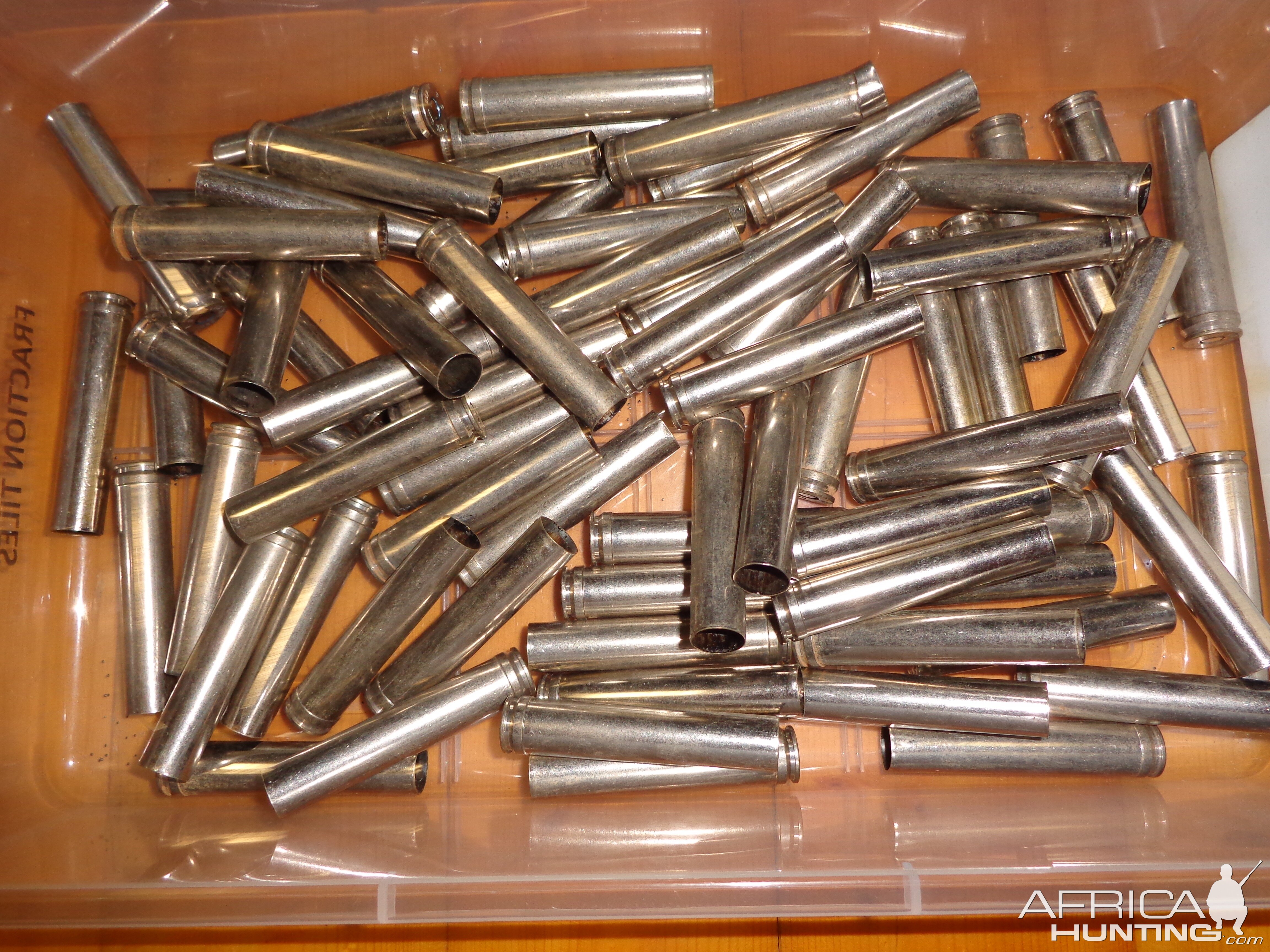 .458 Win Mag Federal Nickel Cases