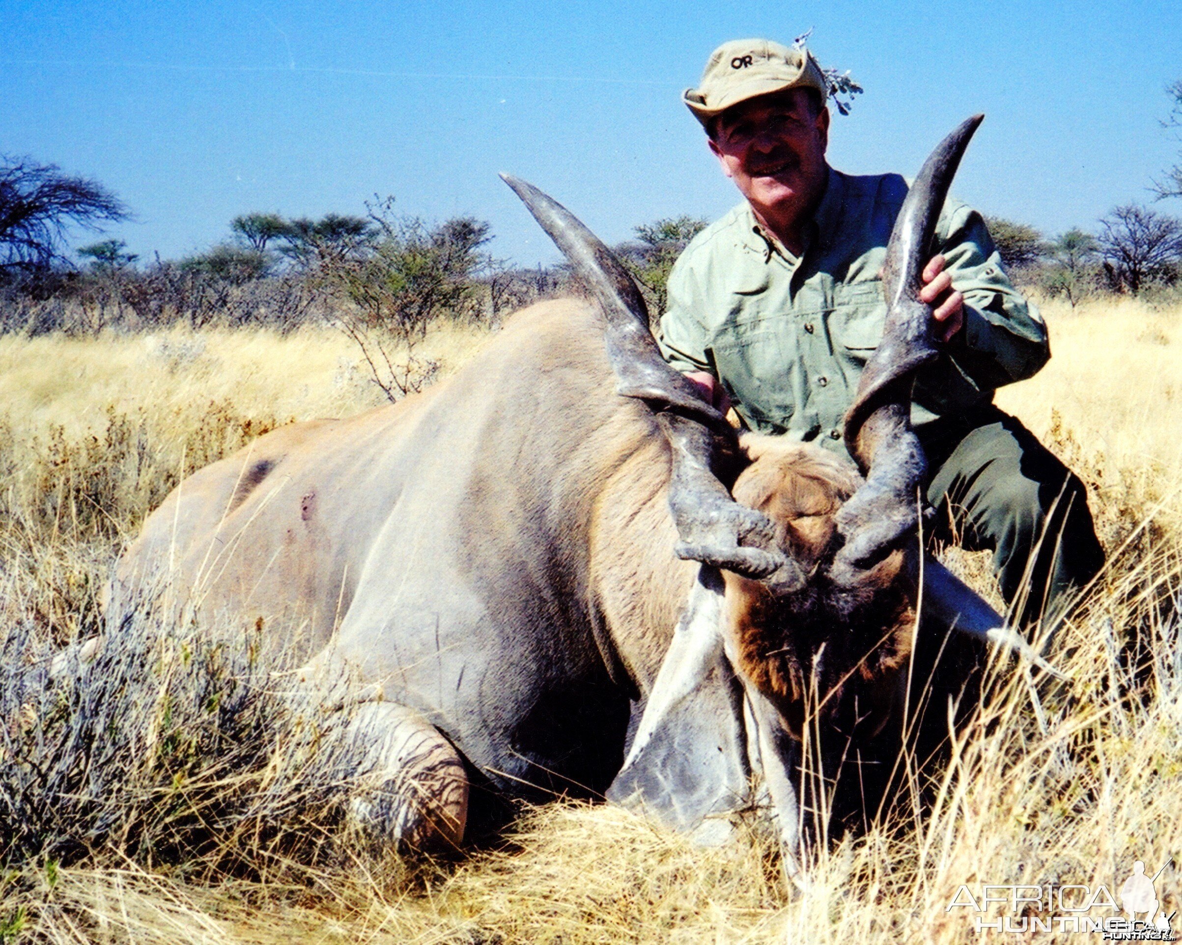 46 " Cape Eland taken in Namibia 2000