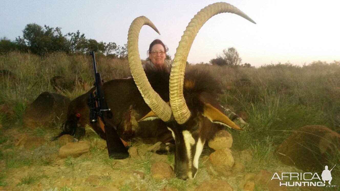 46 inch Sable hunted with White Lion Safaris