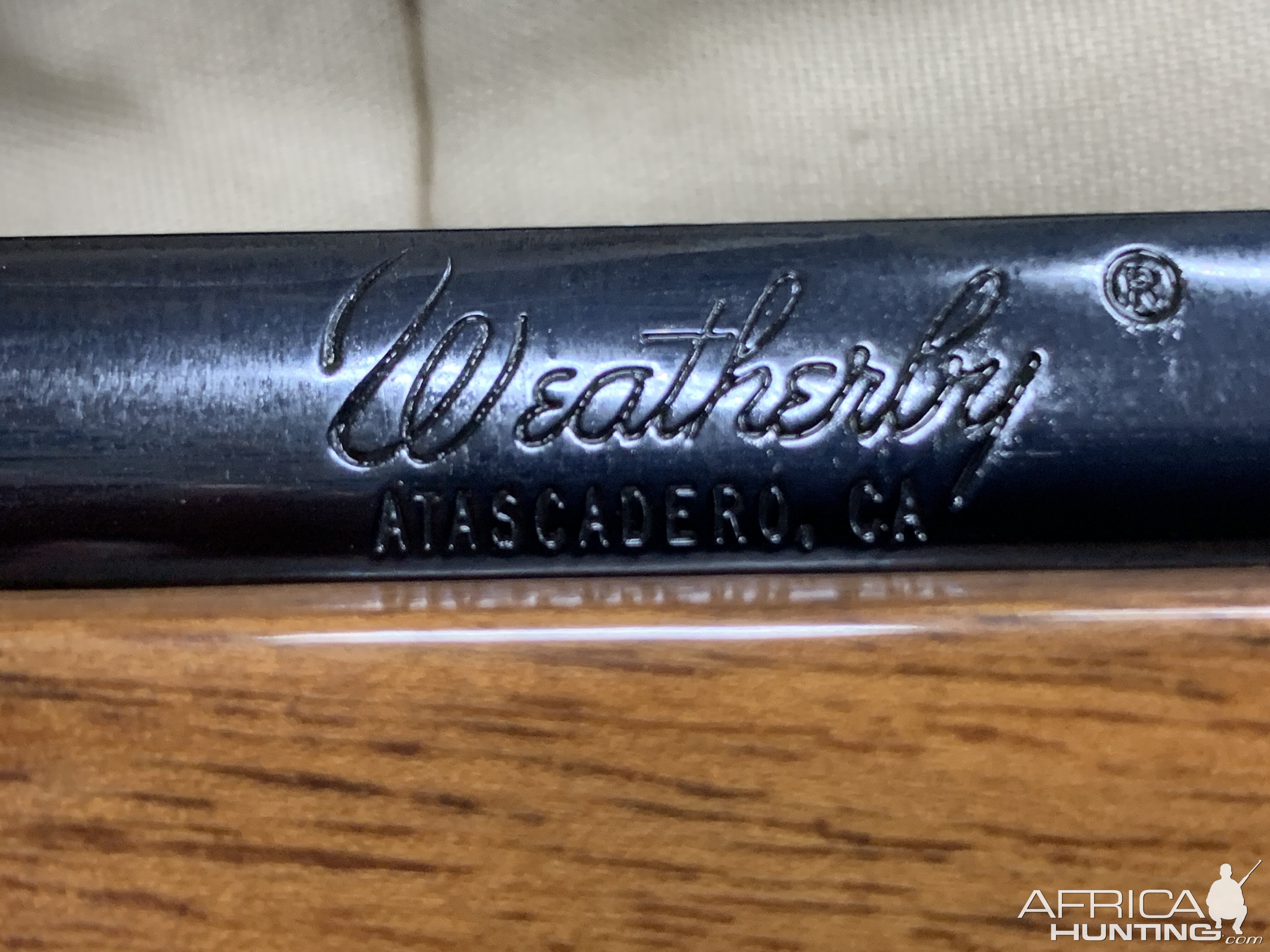 460 Weatherby Magnum Rifle