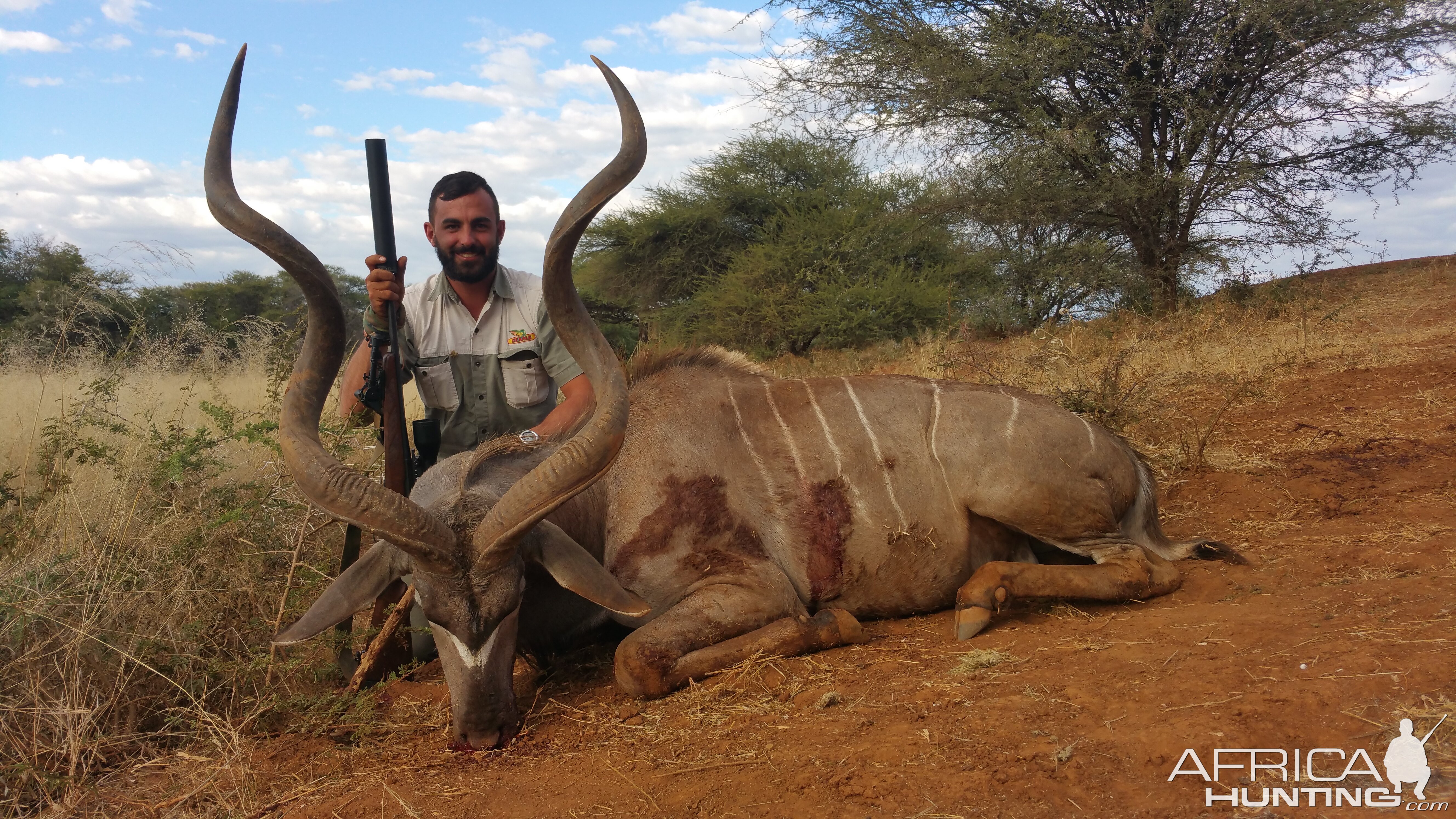 5 Inch Kudu Bull , Otavi Mountains Namibia