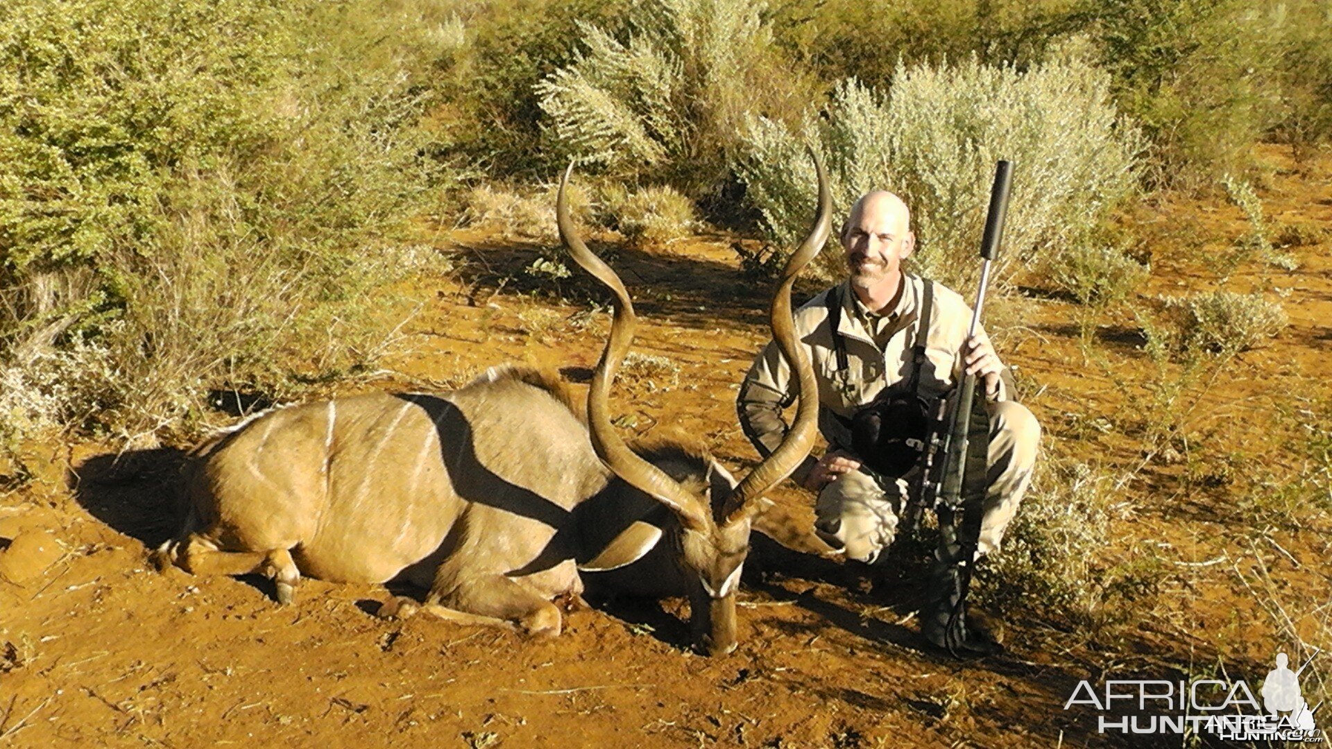 53.5" Greater Kudu Bull