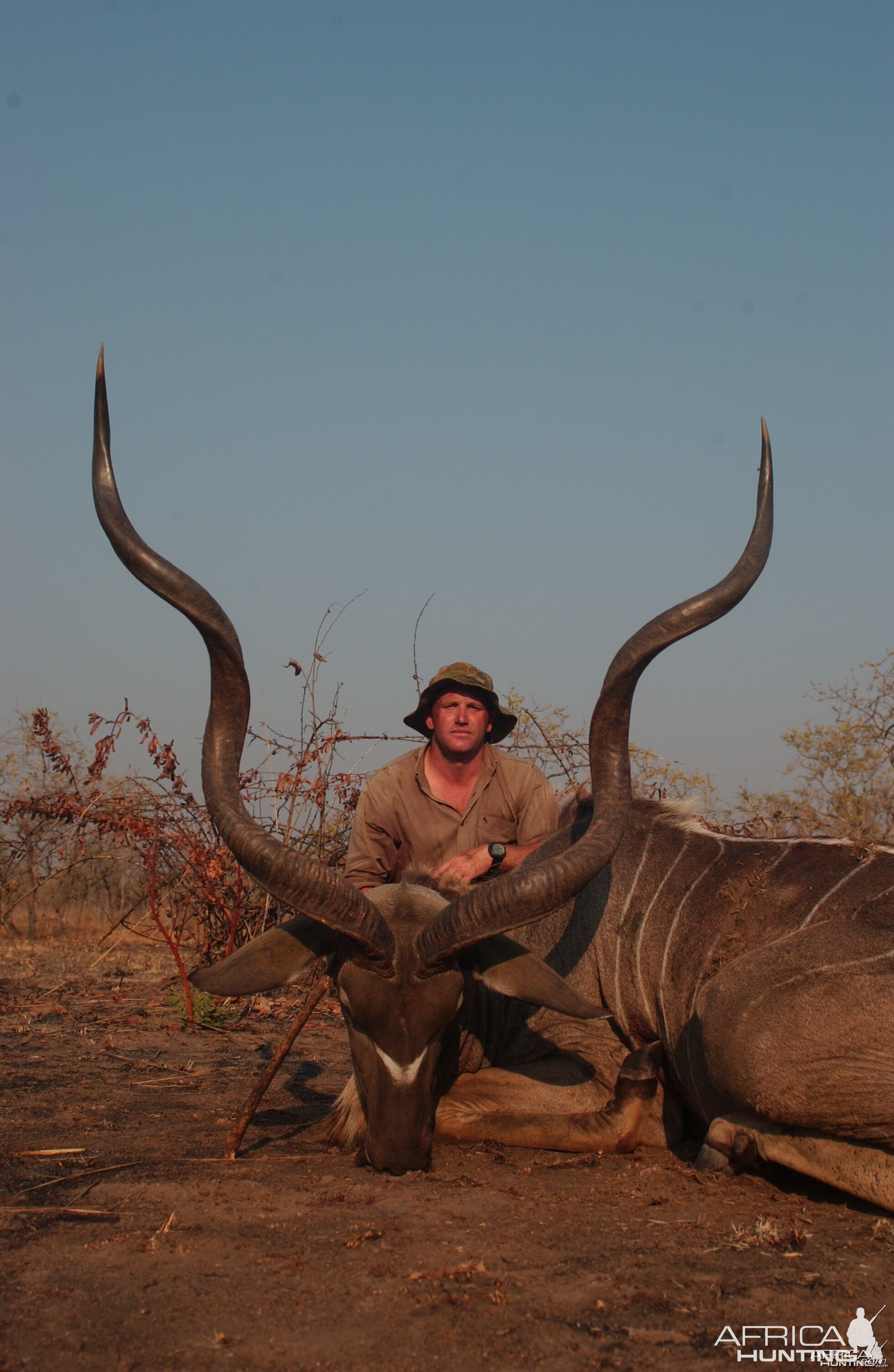 56" East African Kudu
