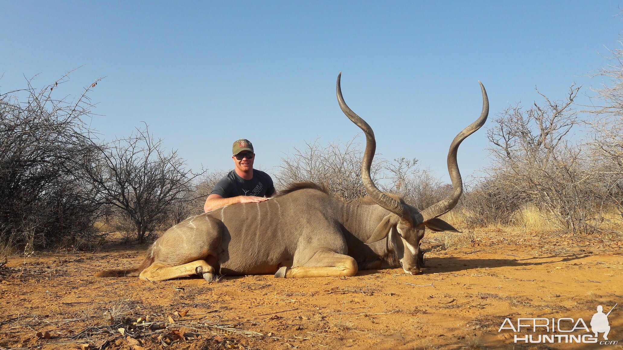 57 3/4 inch Greater Kudu Namibia