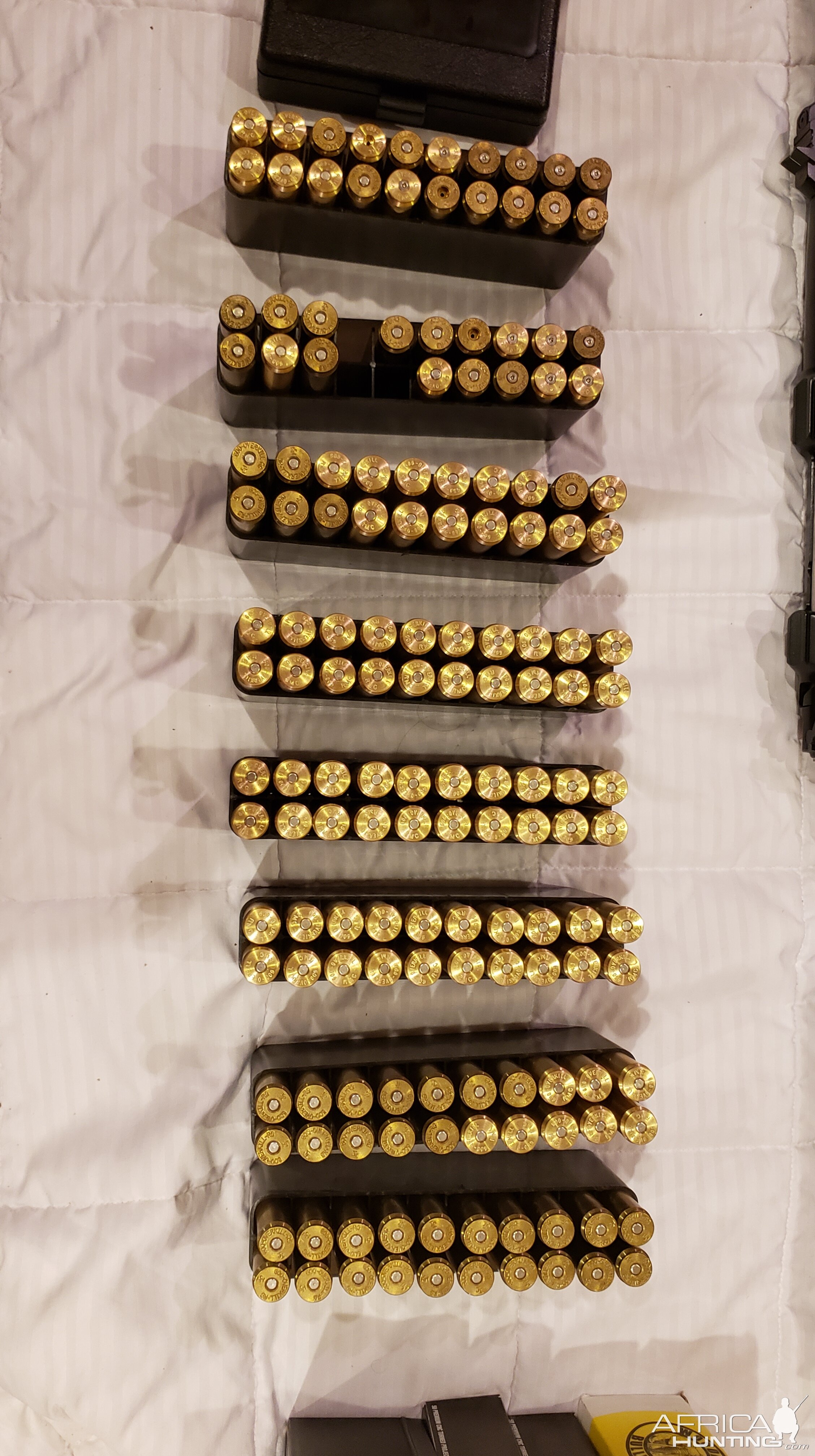 .600 Overkill Cartridges