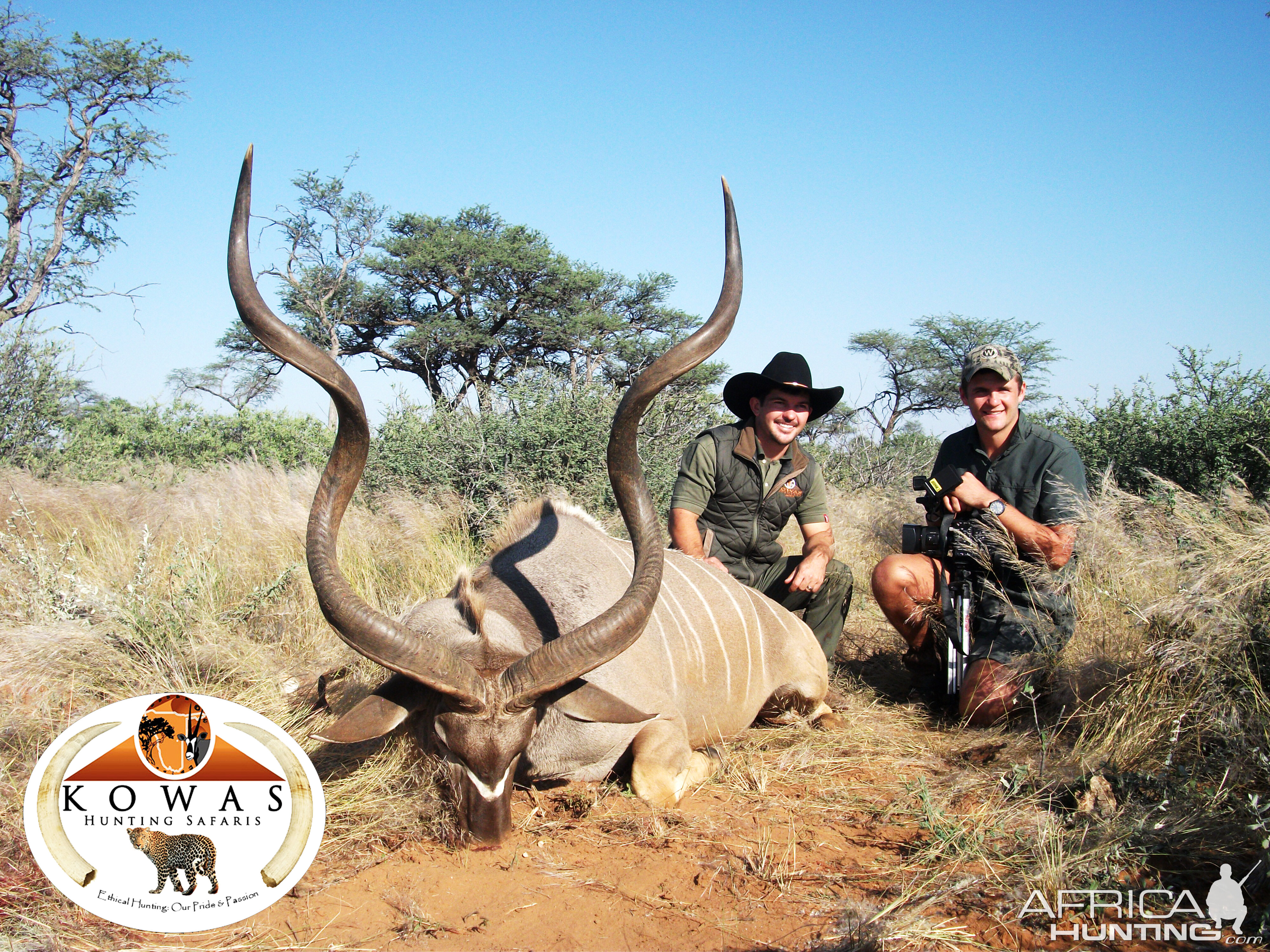 61" Inch Free-Range Kudu bull hunted in Namibia