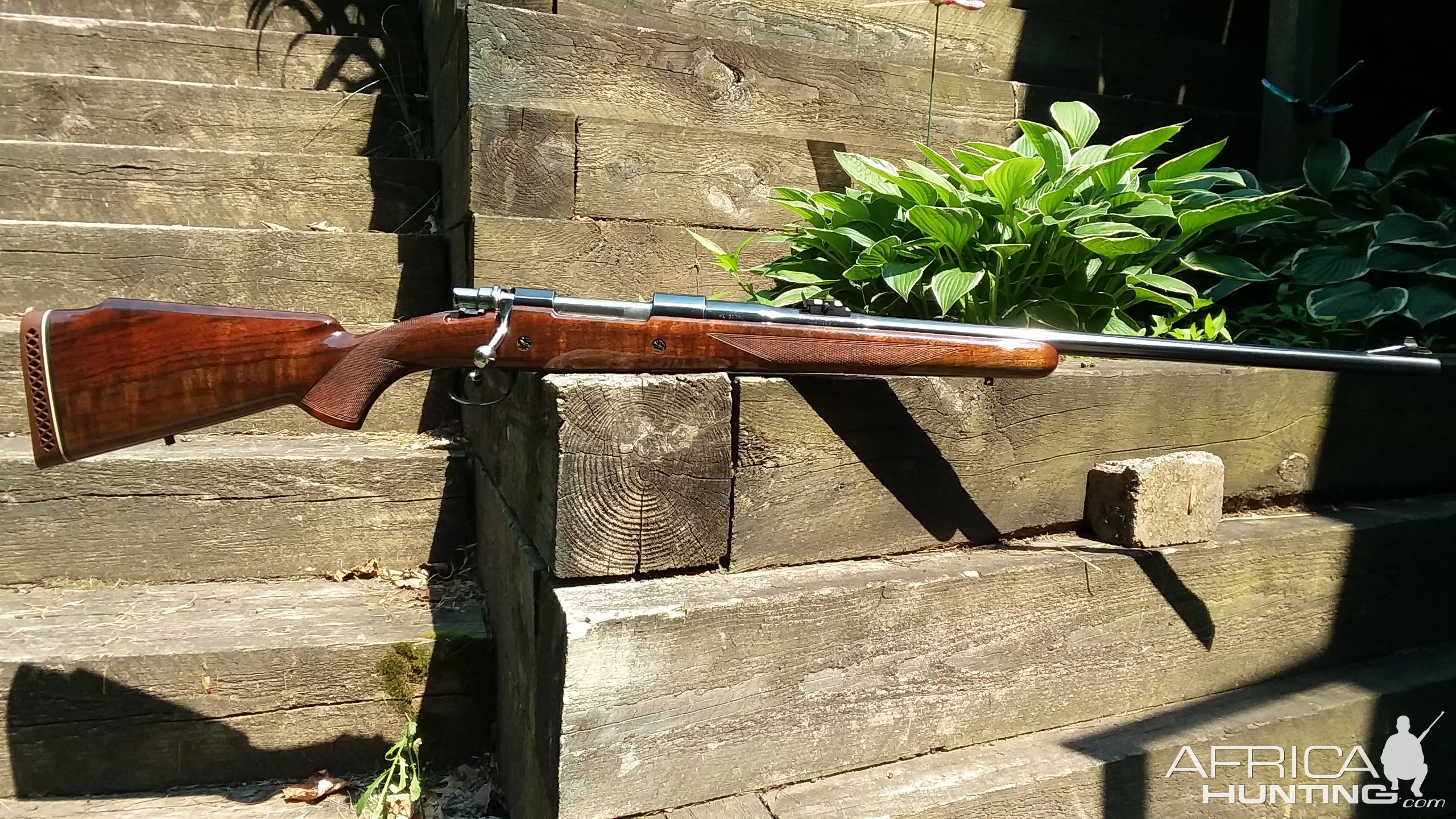 62 Safari In 458 WM Rifle