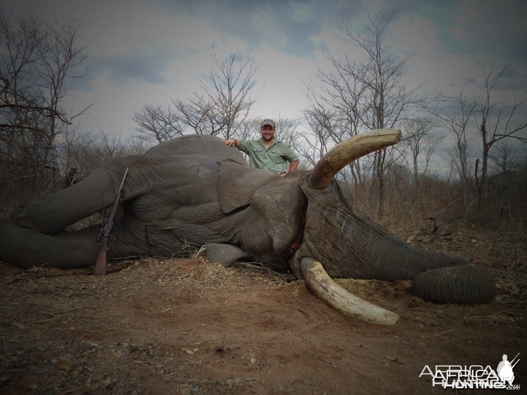 72x68 pounds Elephant Zimbabwe