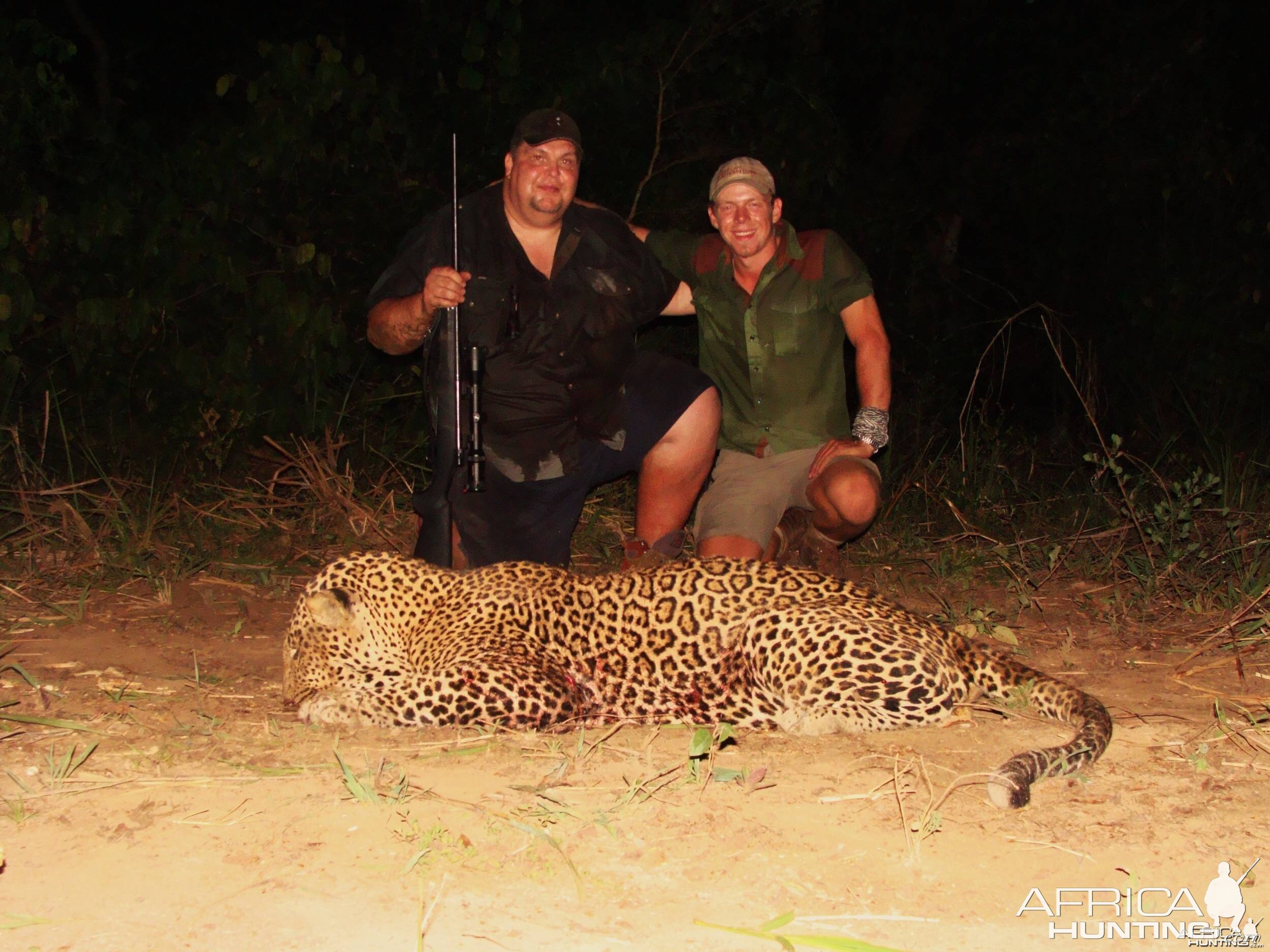 78 Kilo leopard from CAR