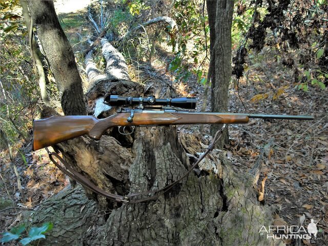 7x57 in a Mauser Rifle