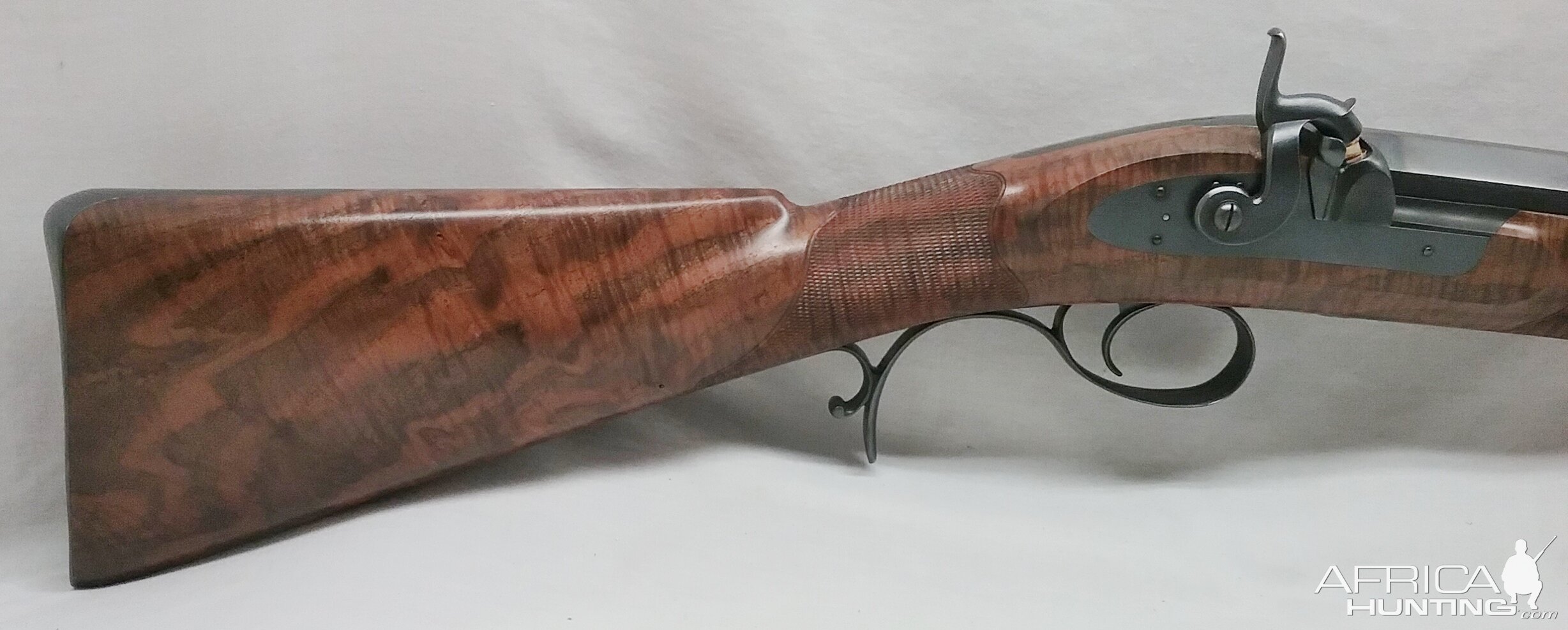 8 Bore Rifle by Hollie Wessel