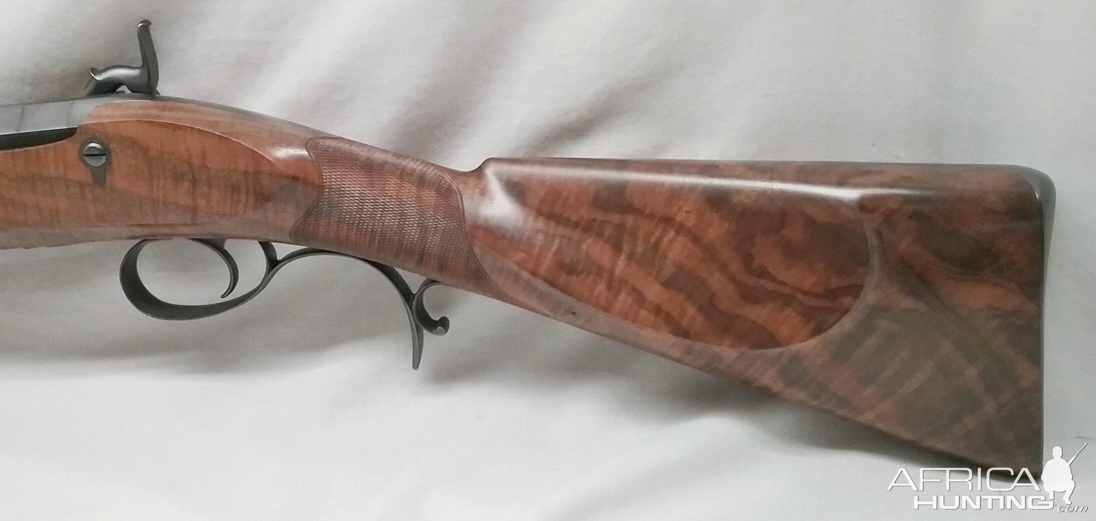 8 Bore Rifle by Hollie Wessel