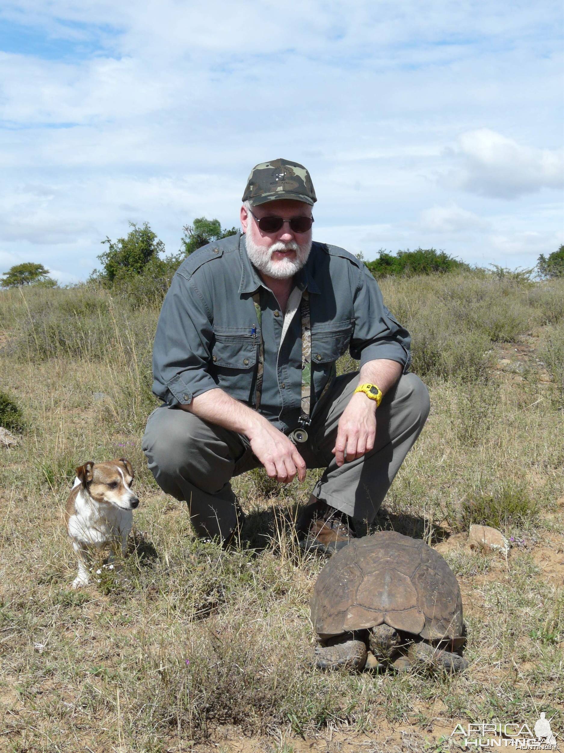 80 year old Tortoise