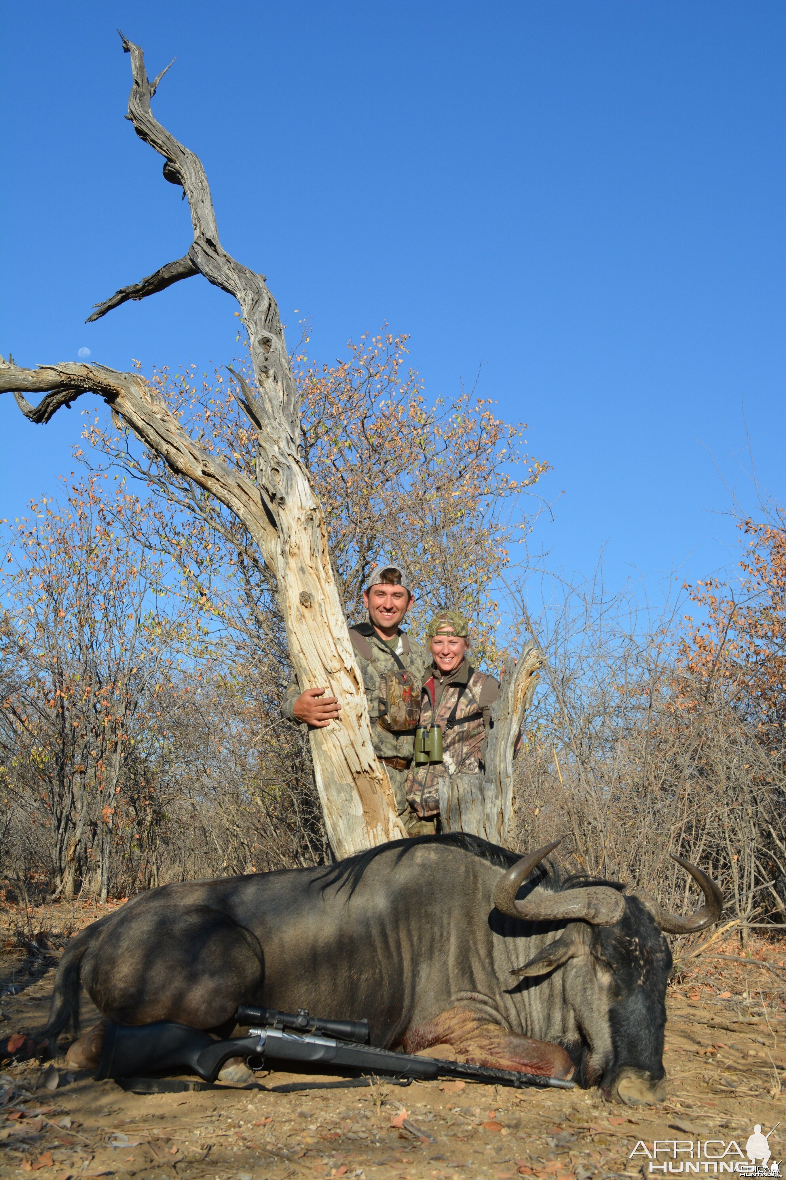 85 7/8 blue wildebeest Namibia