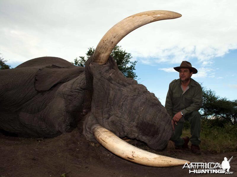 86 pound tusker taken with Johan Calitz Safaris in Botswana