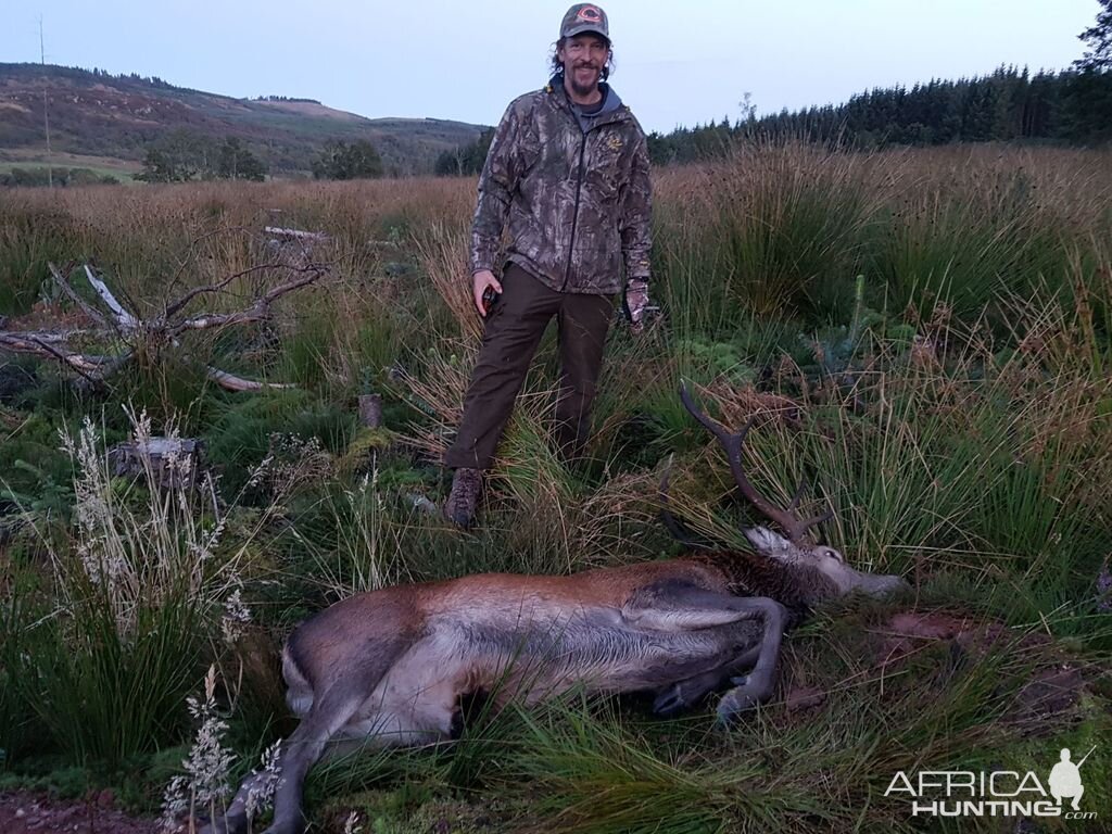 9 Point Red Stag Hunt UK