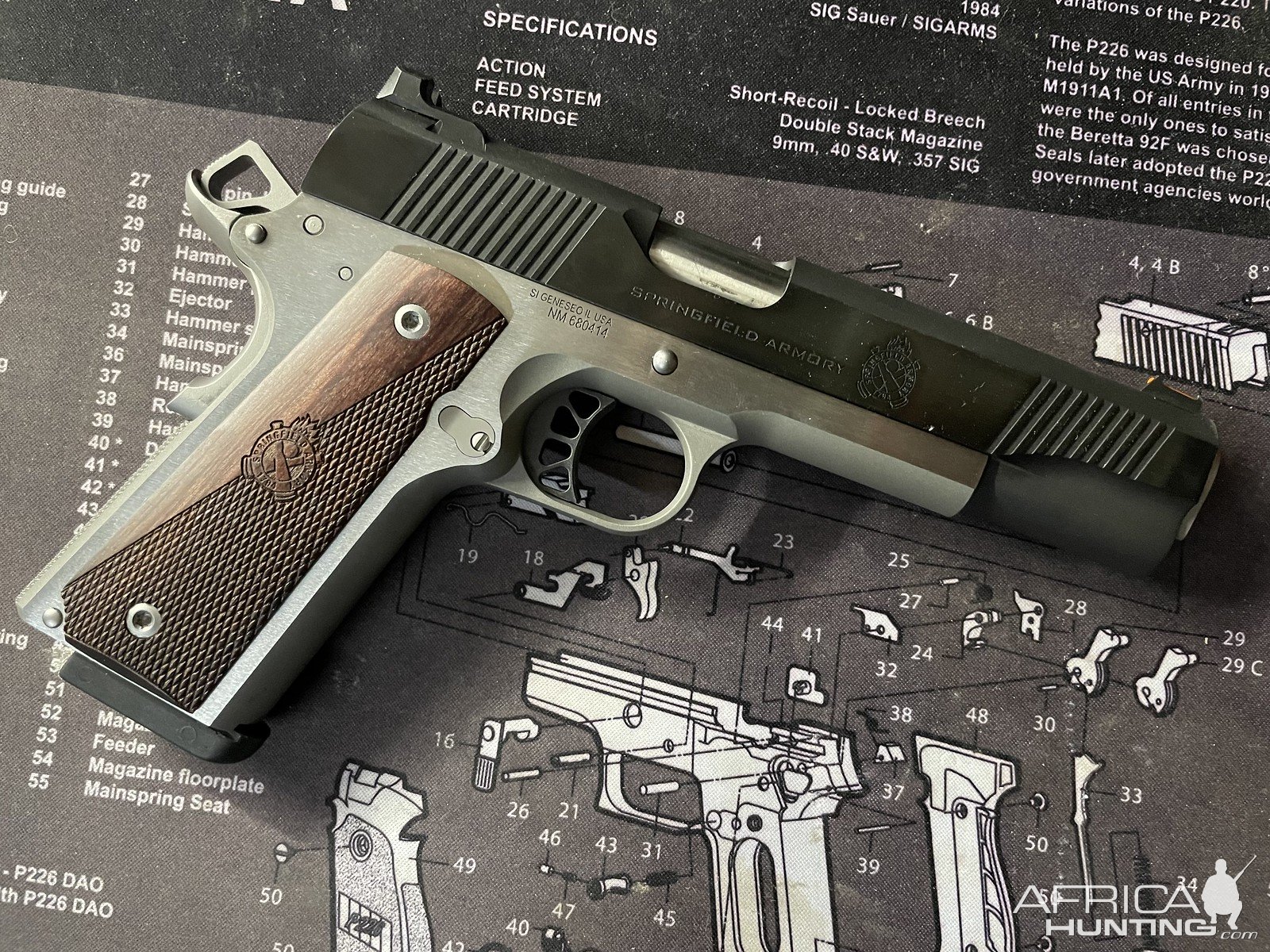 9mm Kimber Ronin 1911 Handgun