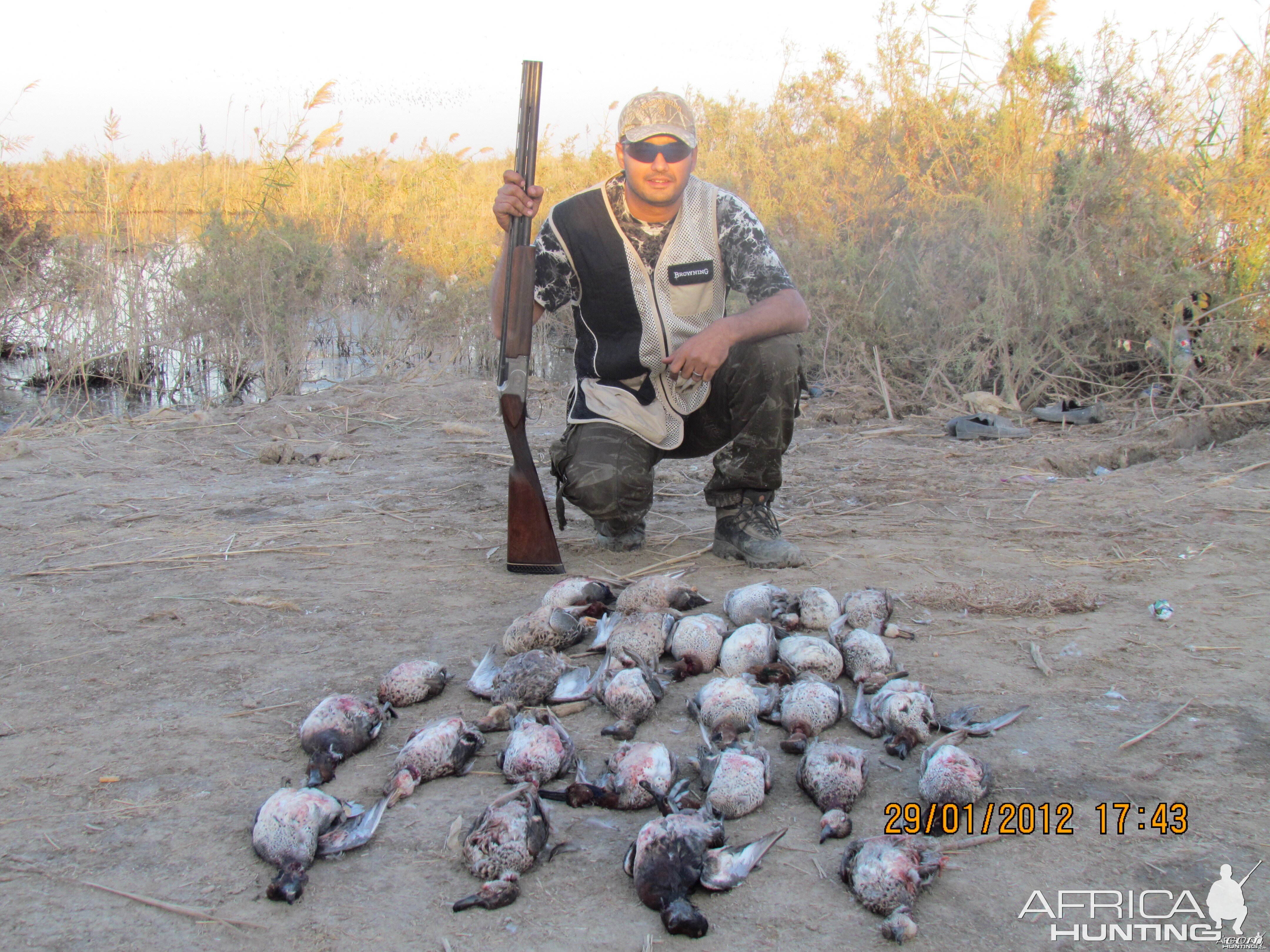A good day of duck