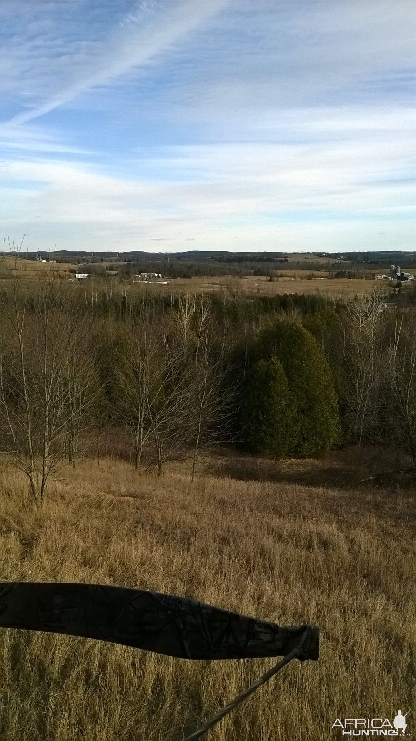 A room with a view