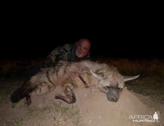 Aardwolf Hunt South Africa