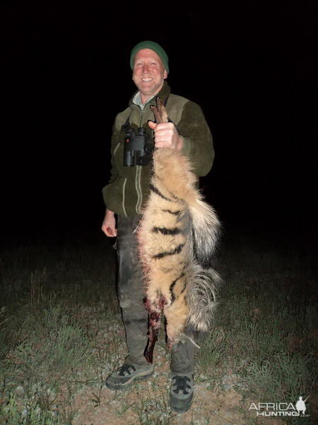 Aardwolf South Africa Hunt