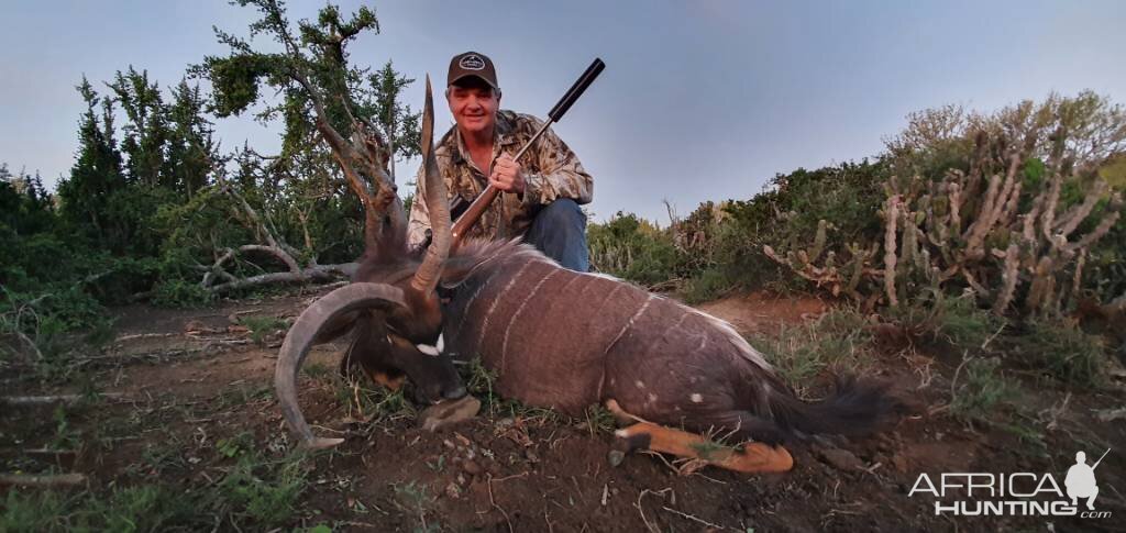 Abnormal Nyala Hunting Eastern Cape South Africa