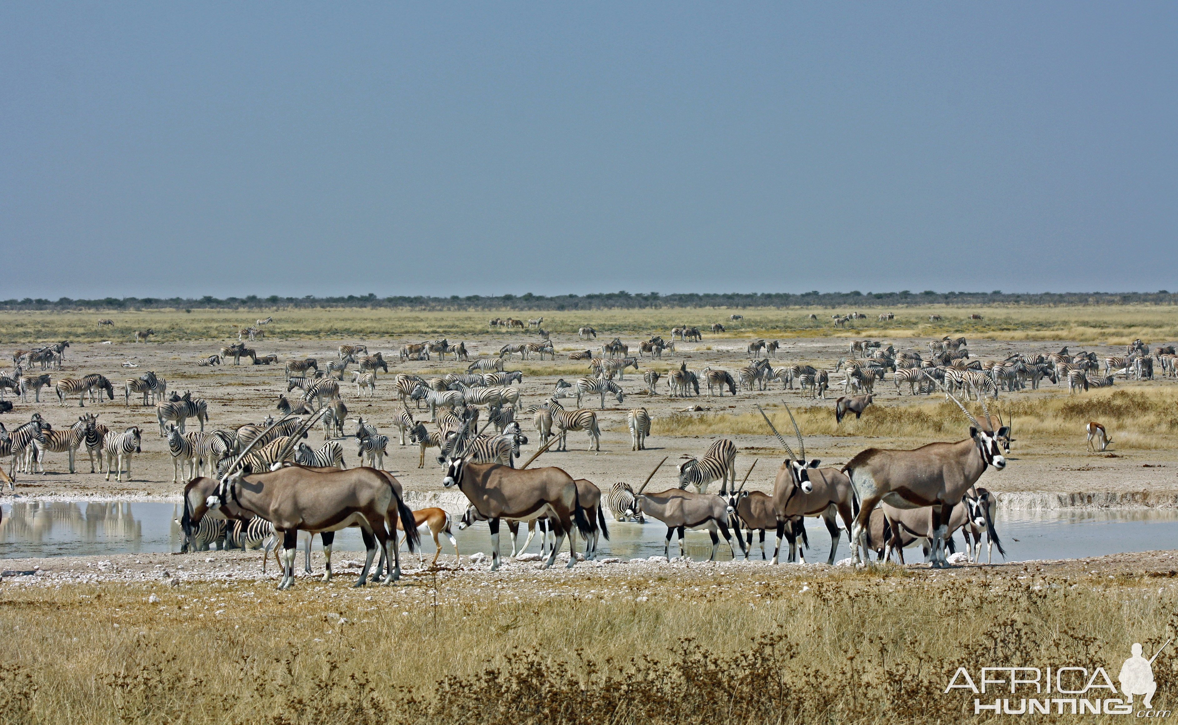 Abundant Life Etosha Namibia