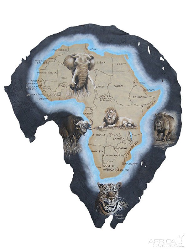 Africa Map Printed On Elephant Ear